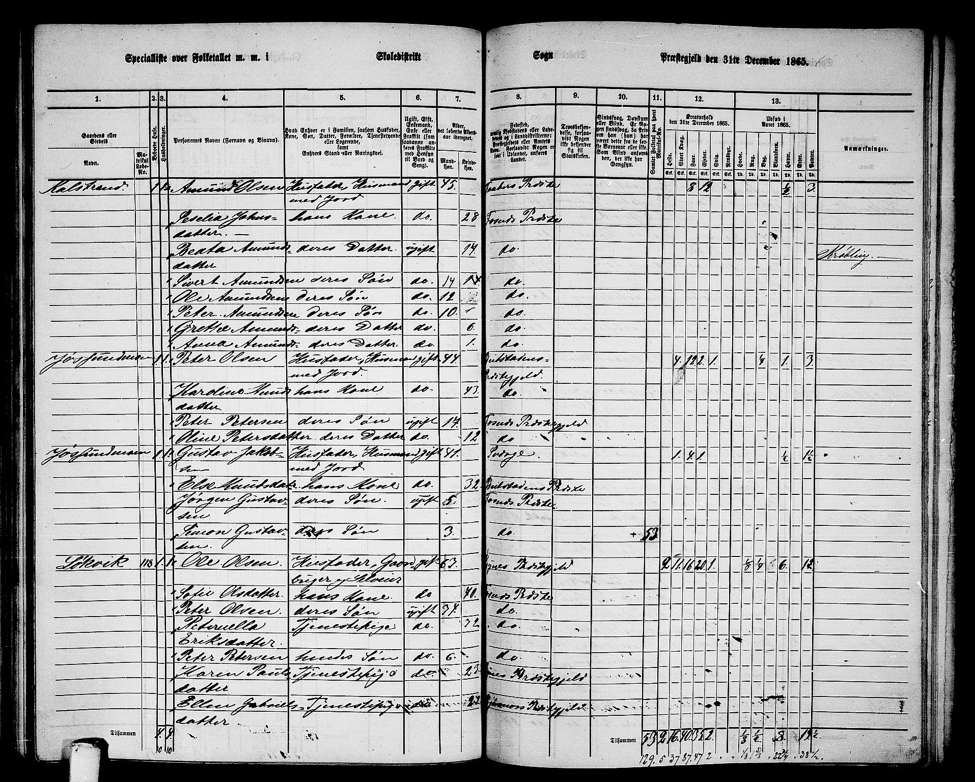 RA, 1865 census for Fosnes, 1865, p. 119