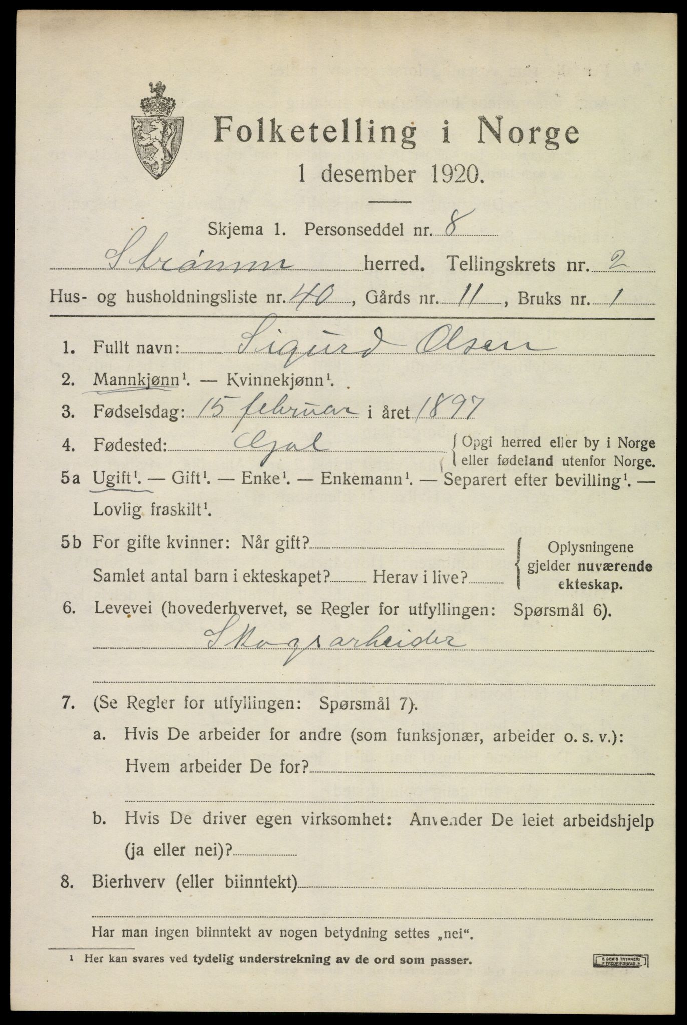 SAKO, 1920 census for Strømm, 1920, p. 2017