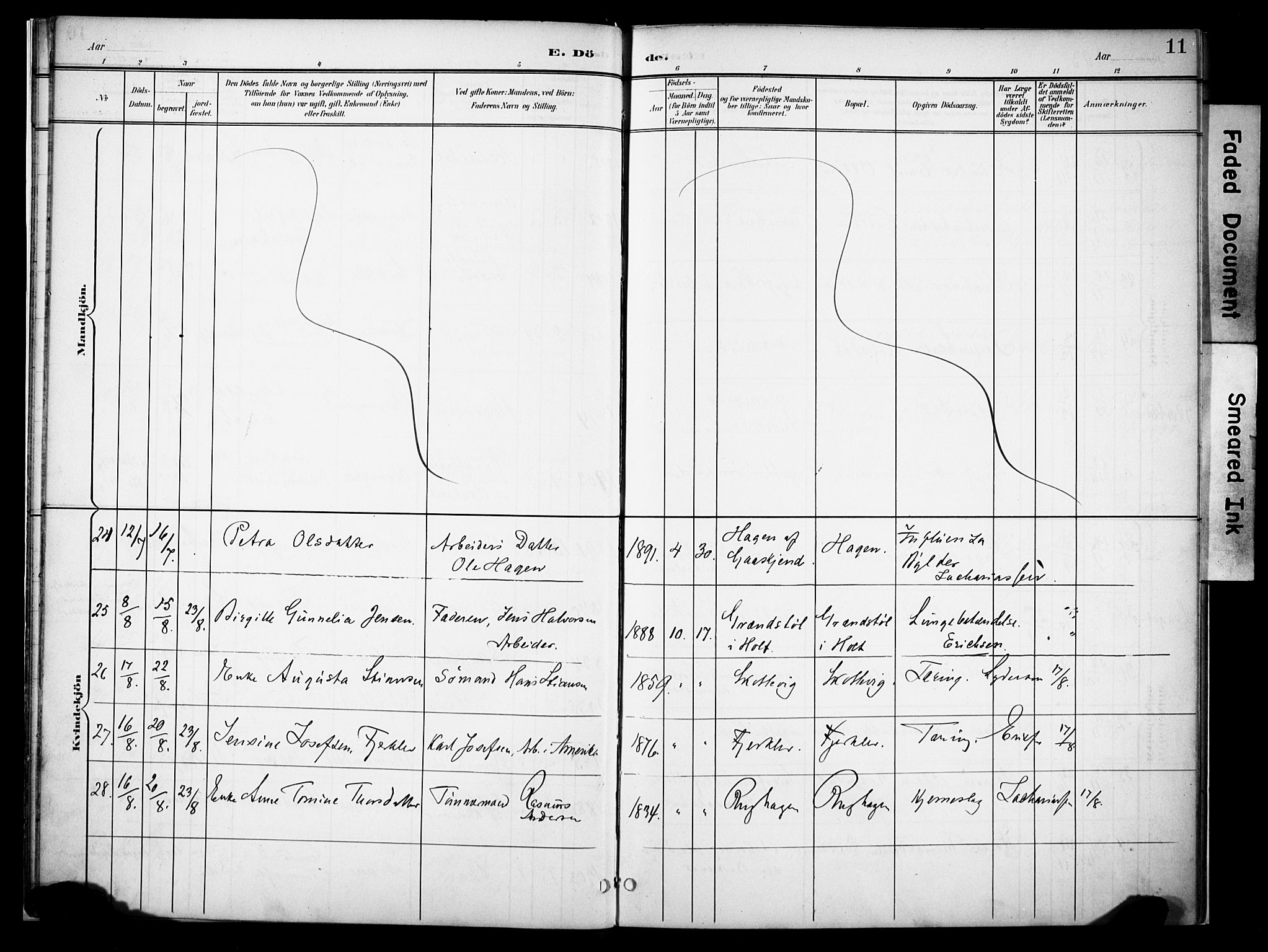 Holt sokneprestkontor, AV/SAK-1111-0021/F/Fa/L0013: Parish register (official) no. A 13, 1900-1912, p. 11