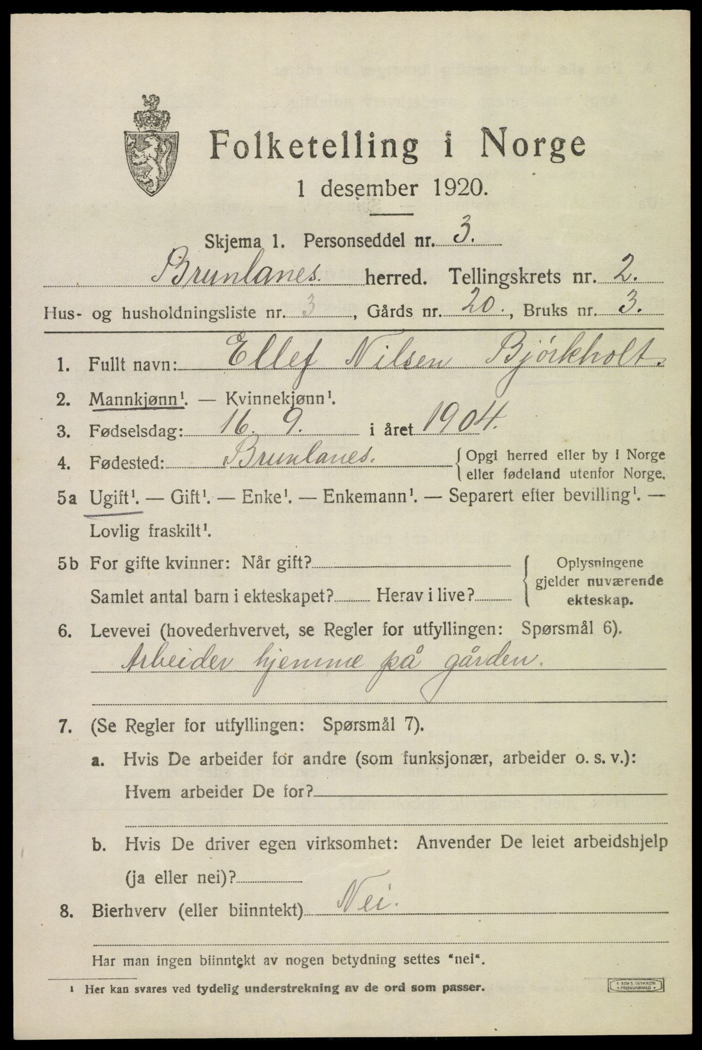 SAKO, 1920 census for Brunlanes, 1920, p. 3343