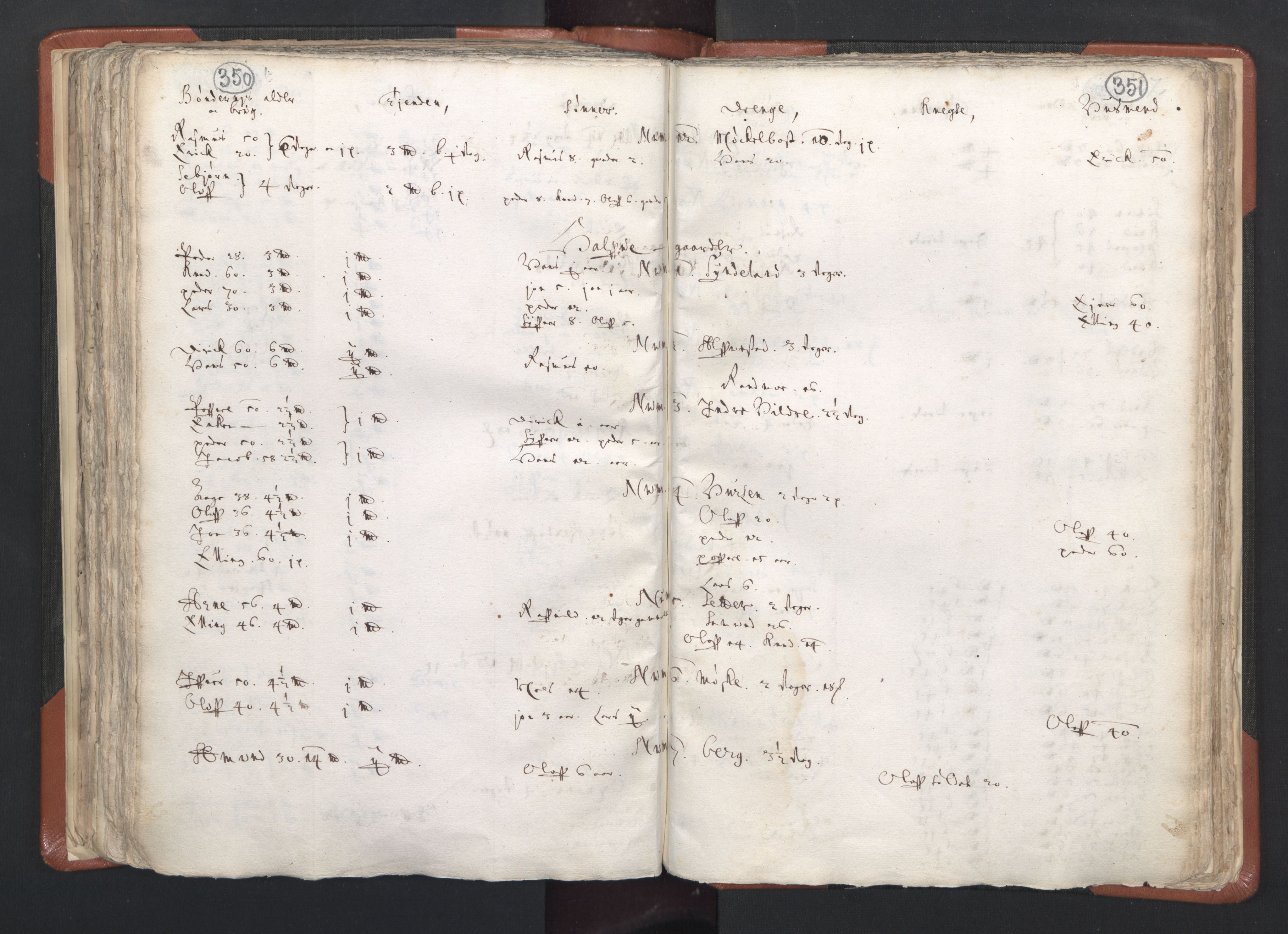 RA, Vicar's Census 1664-1666, no. 26: Sunnmøre deanery, 1664-1666, p. 350-351