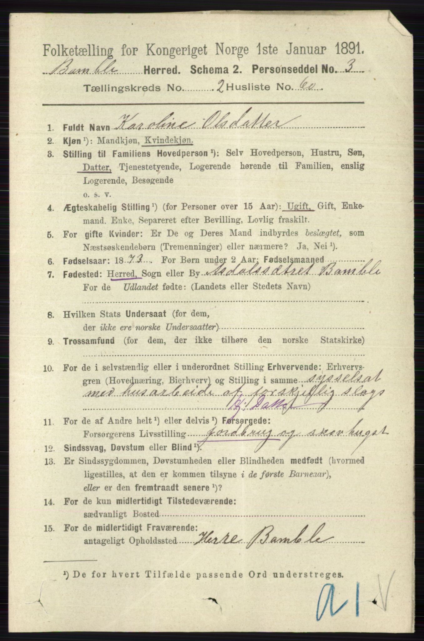 RA, 1891 census for 0814 Bamble, 1891, p. 1351