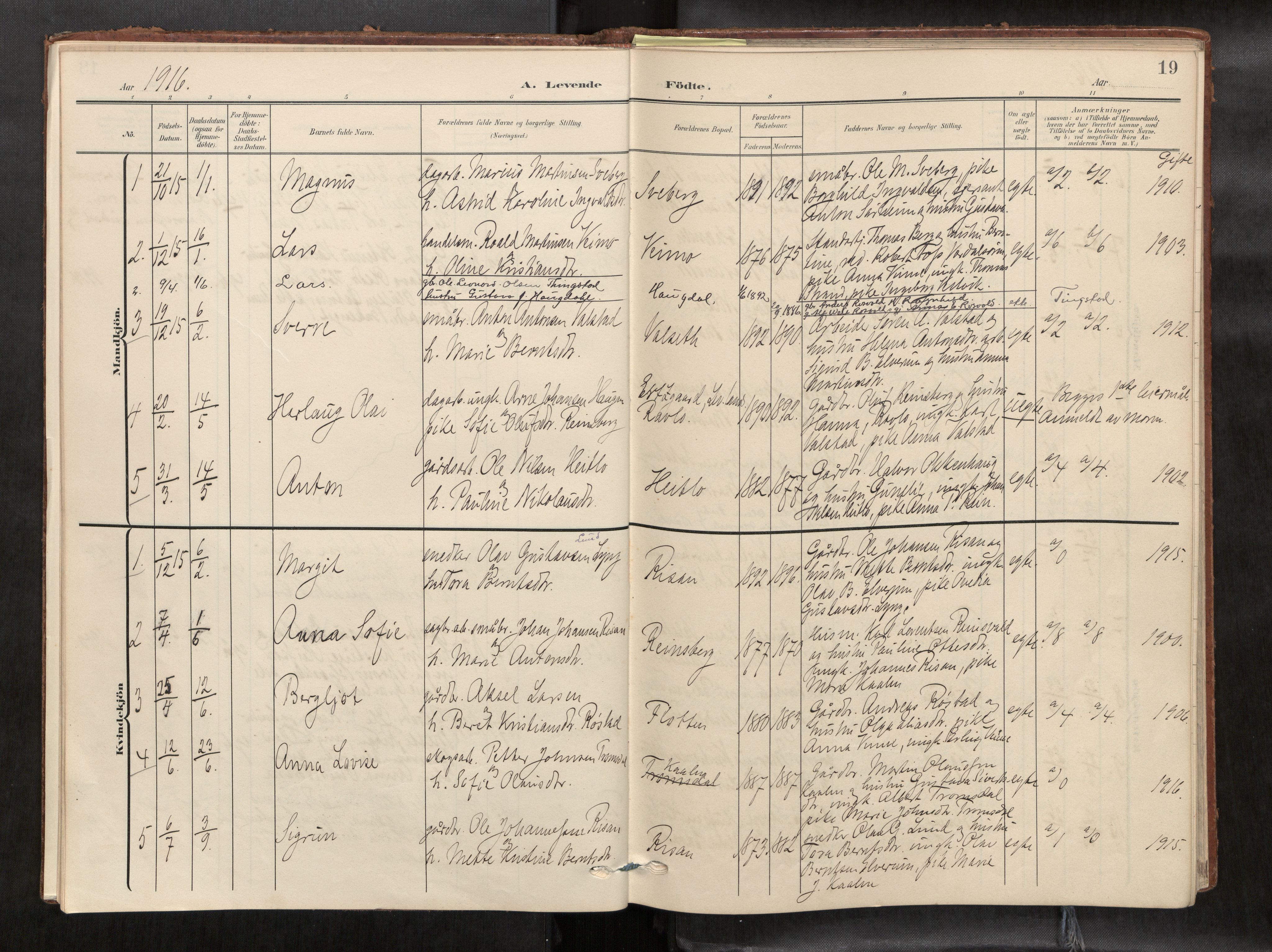 Verdal sokneprestkontor, AV/SAT-A-1156/2/H/Haa/L0003: Parish register (official) no. 3, 1907-1921, p. 19