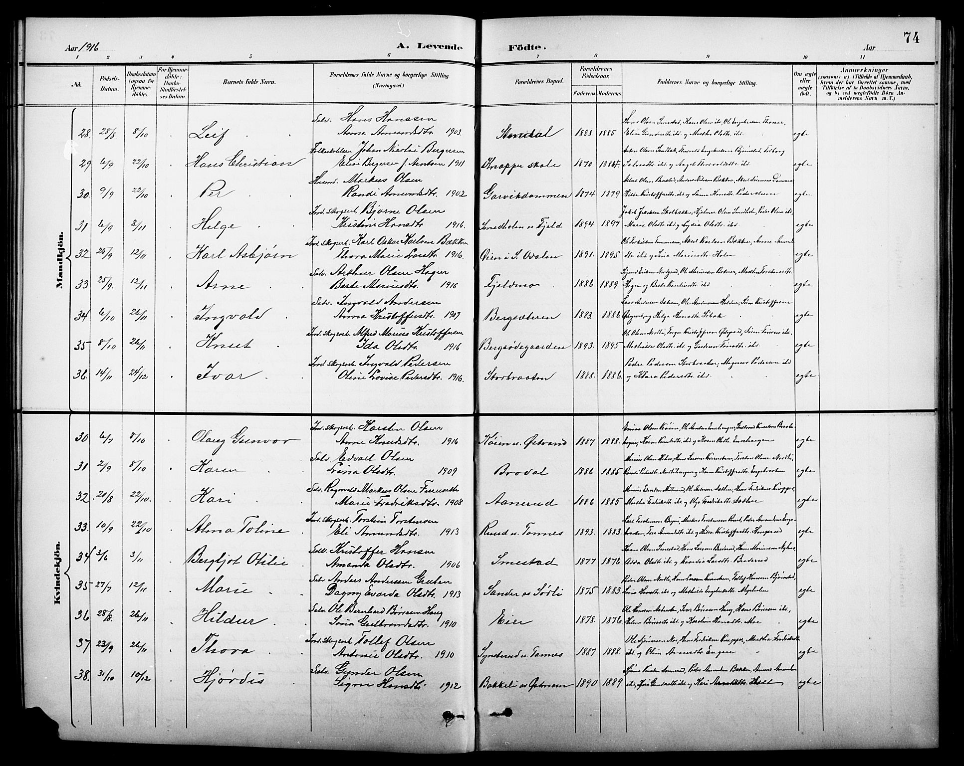 Nord-Odal prestekontor, AV/SAH-PREST-032/H/Ha/Hab/L0002: Parish register (copy) no. 2, 1895-1921, p. 74