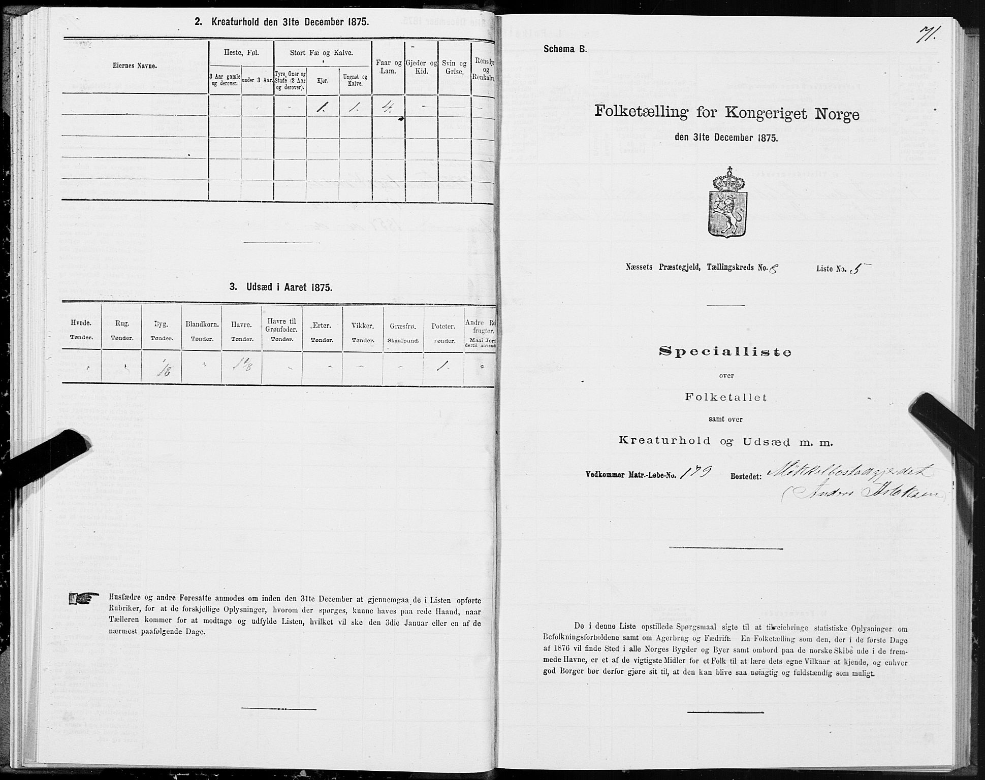 SAT, 1875 census for 1543P Nesset, 1875, p. 4071