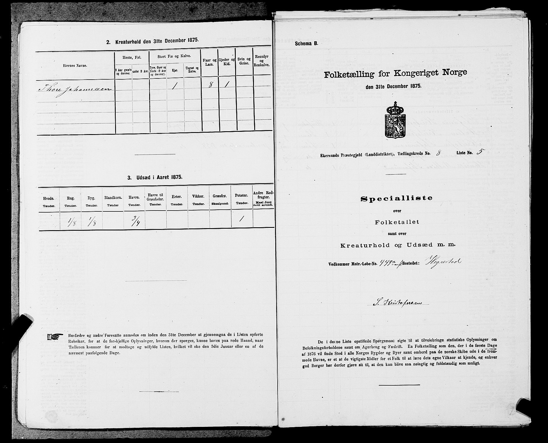 SAST, 1875 census for 1116L Eigersund/Eigersund og Ogna, 1875, p. 865