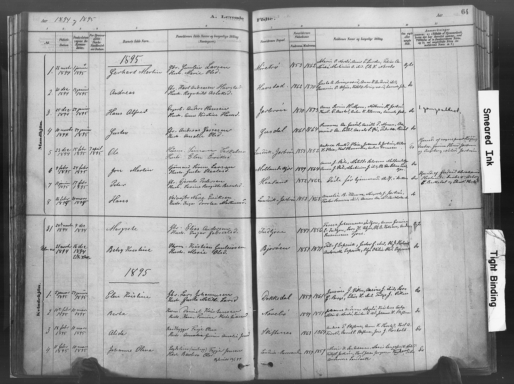 Hommedal sokneprestkontor, SAK/1111-0023/F/Fa/Fab/L0006: Parish register (official) no. A 6, 1878-1897, p. 64