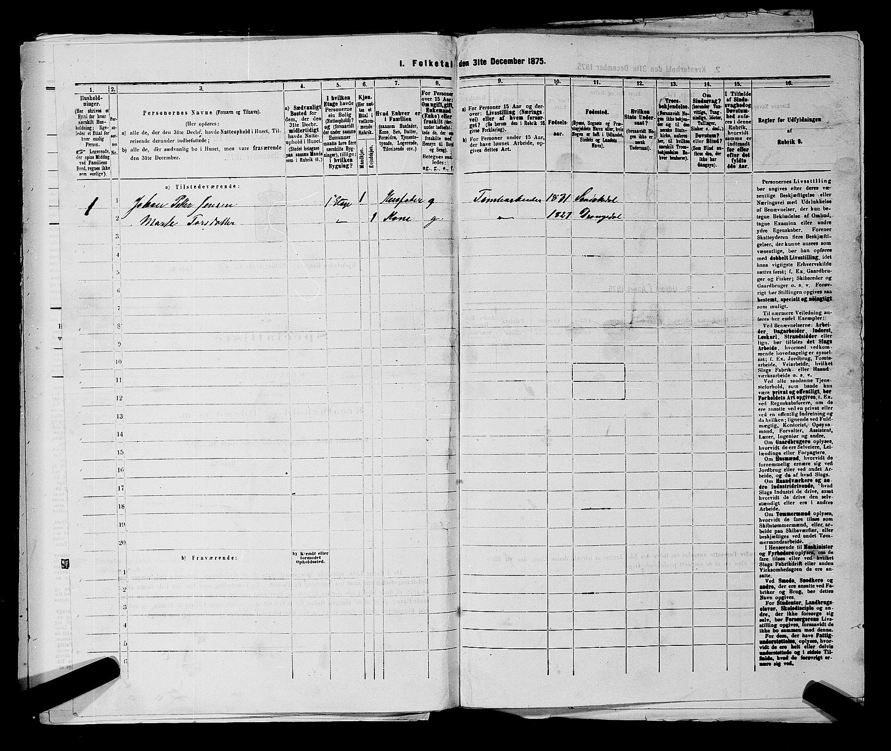 SAKO, 1875 census for 0801P Kragerø, 1875, p. 1208