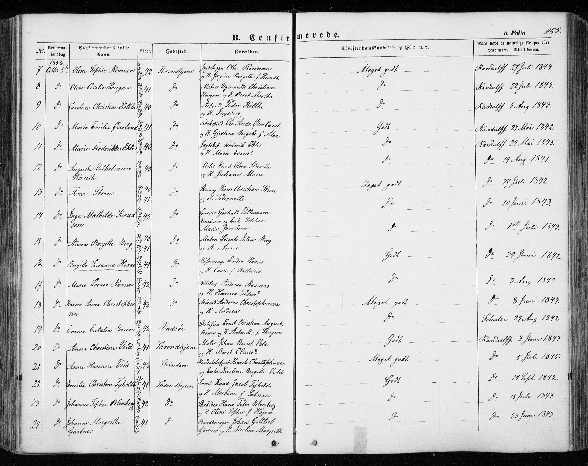 Ministerialprotokoller, klokkerbøker og fødselsregistre - Sør-Trøndelag, AV/SAT-A-1456/601/L0051: Parish register (official) no. 601A19, 1848-1857, p. 255