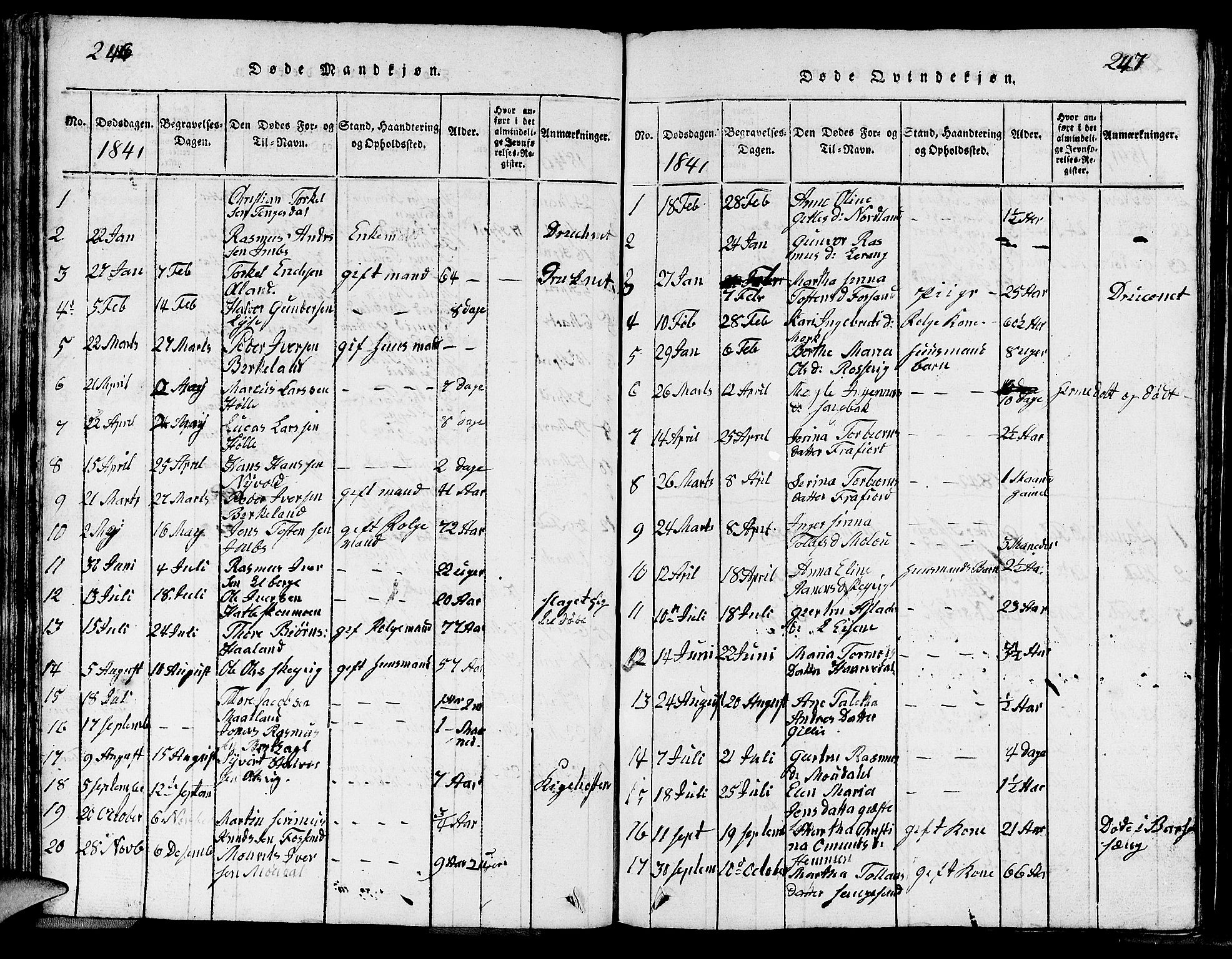 Strand sokneprestkontor, AV/SAST-A-101828/H/Ha/Hab/L0002: Parish register (copy) no. B 2, 1816-1854, p. 246-247