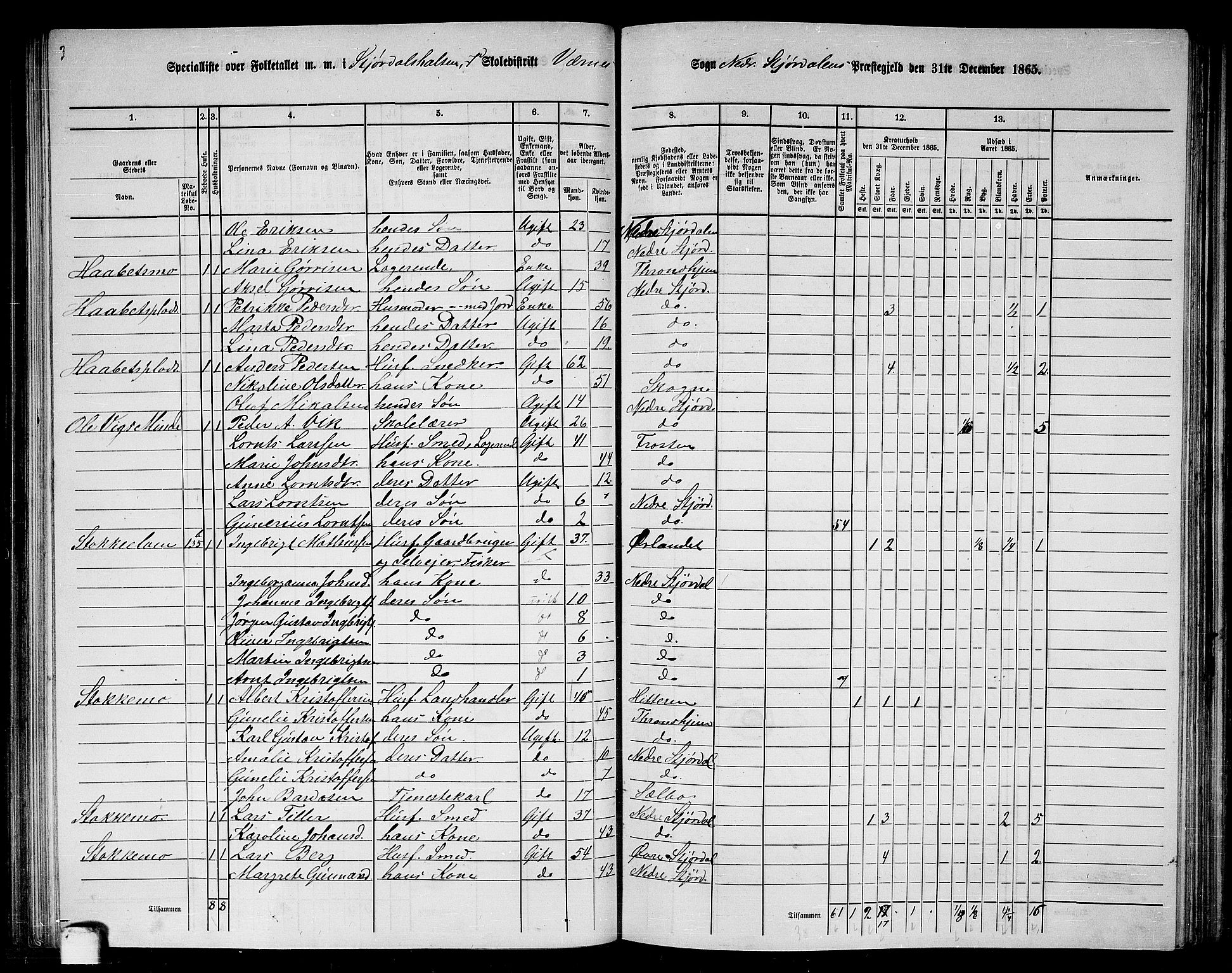 RA, 1865 census for Nedre Stjørdal, 1865, p. 141