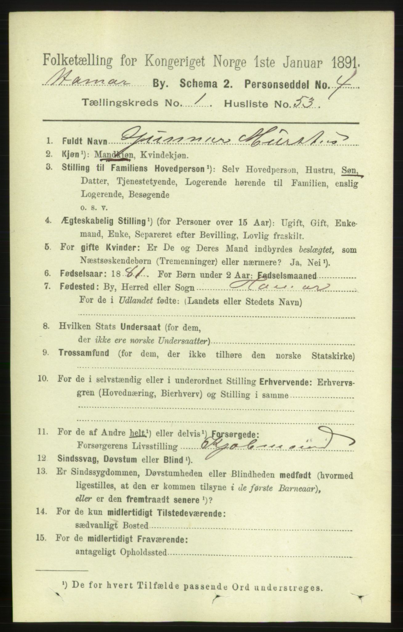 RA, 1891 census for 0401 Hamar, 1891, p. 917