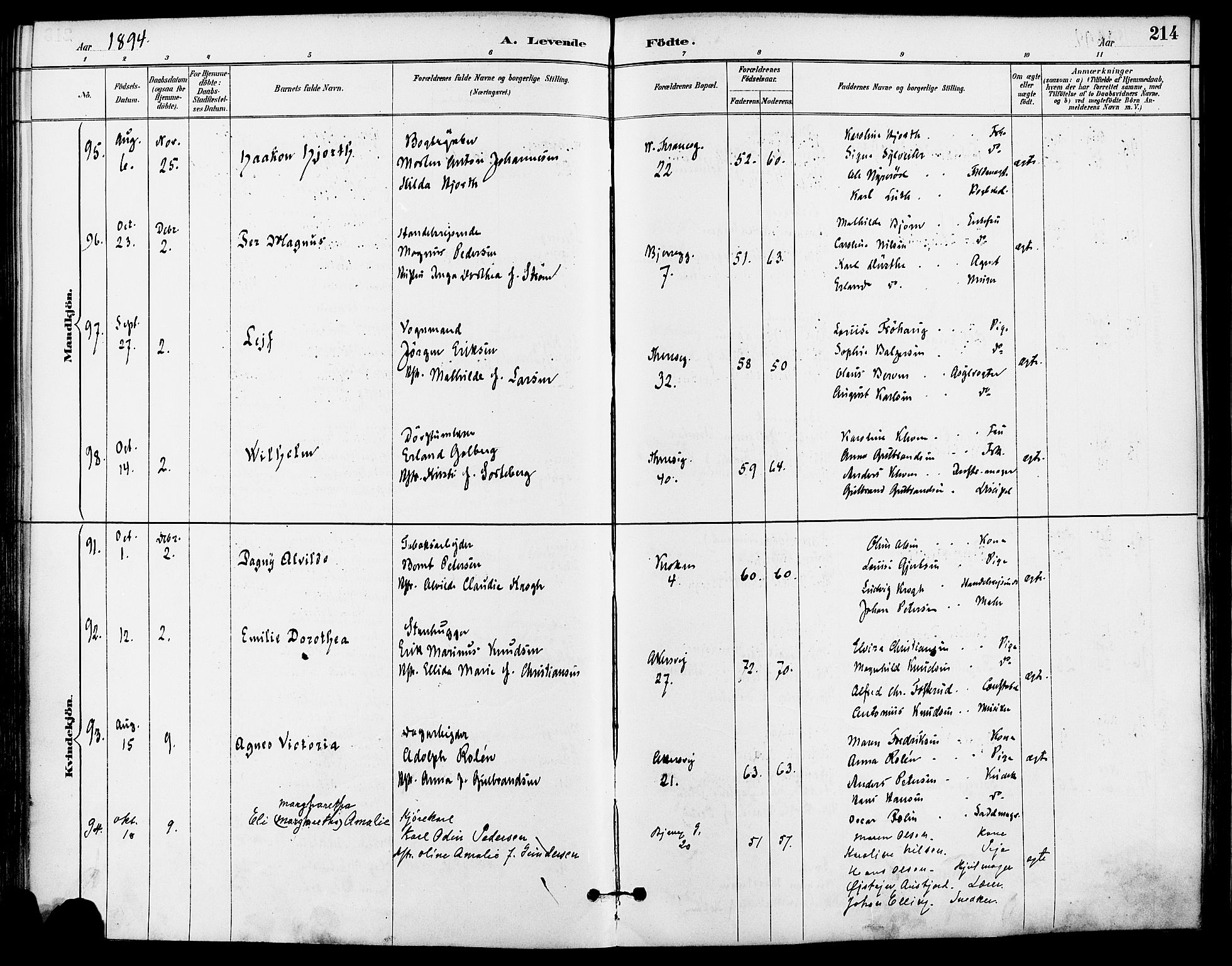 Gamle Aker prestekontor Kirkebøker, AV/SAO-A-10617a/F/L0008: Parish register (official) no. 8, 1887-1896, p. 214