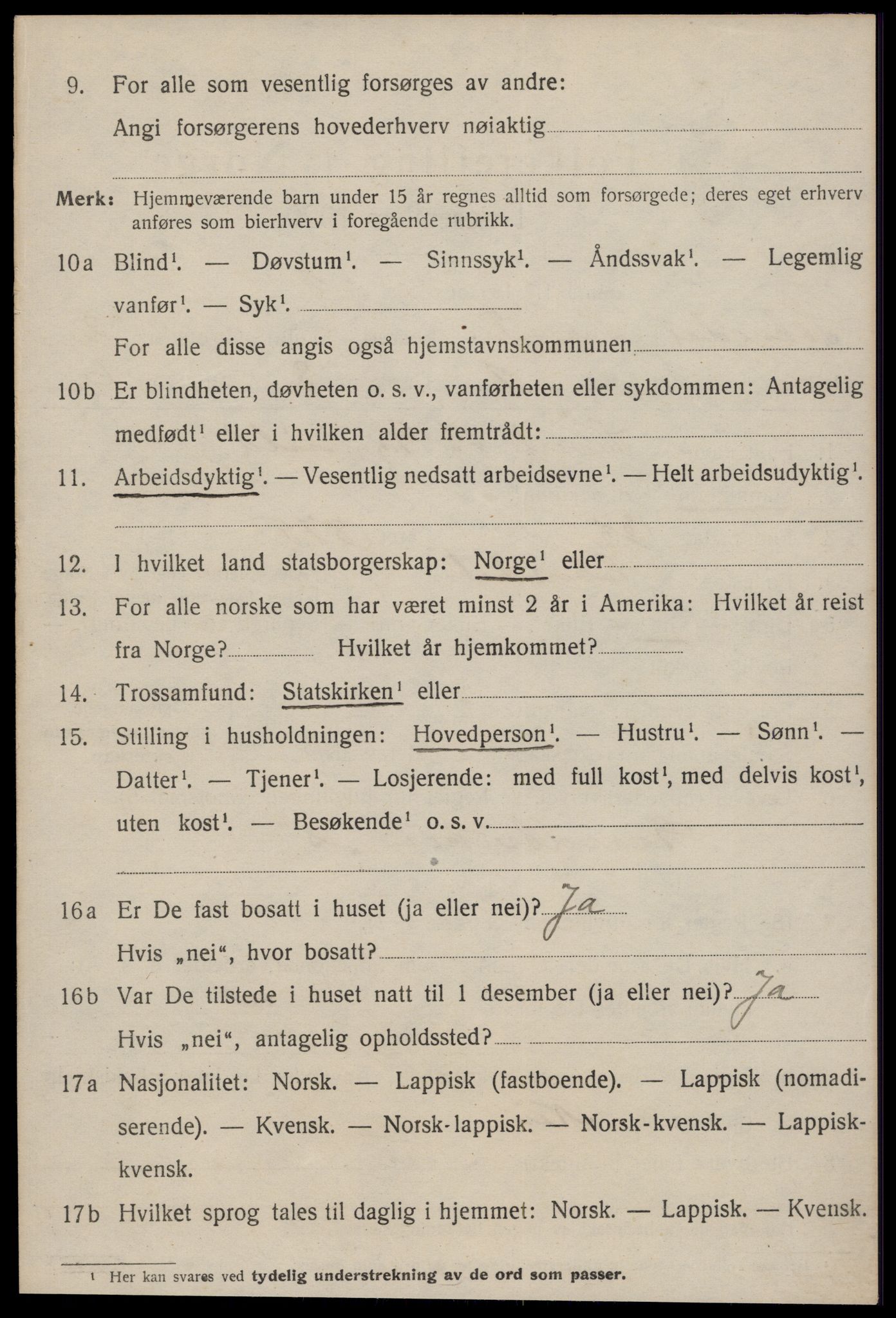 SAT, 1920 census for Soknedal, 1920, p. 1213