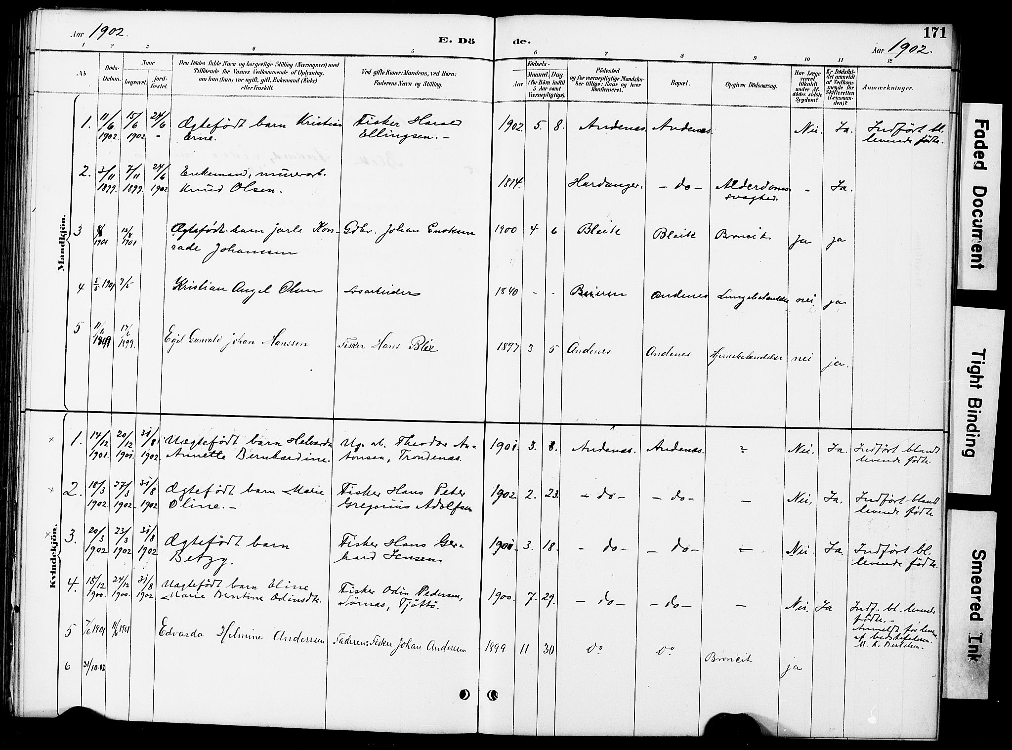 Ministerialprotokoller, klokkerbøker og fødselsregistre - Nordland, AV/SAT-A-1459/899/L1448: Parish register (copy) no. 899C03, 1887-1902, p. 171