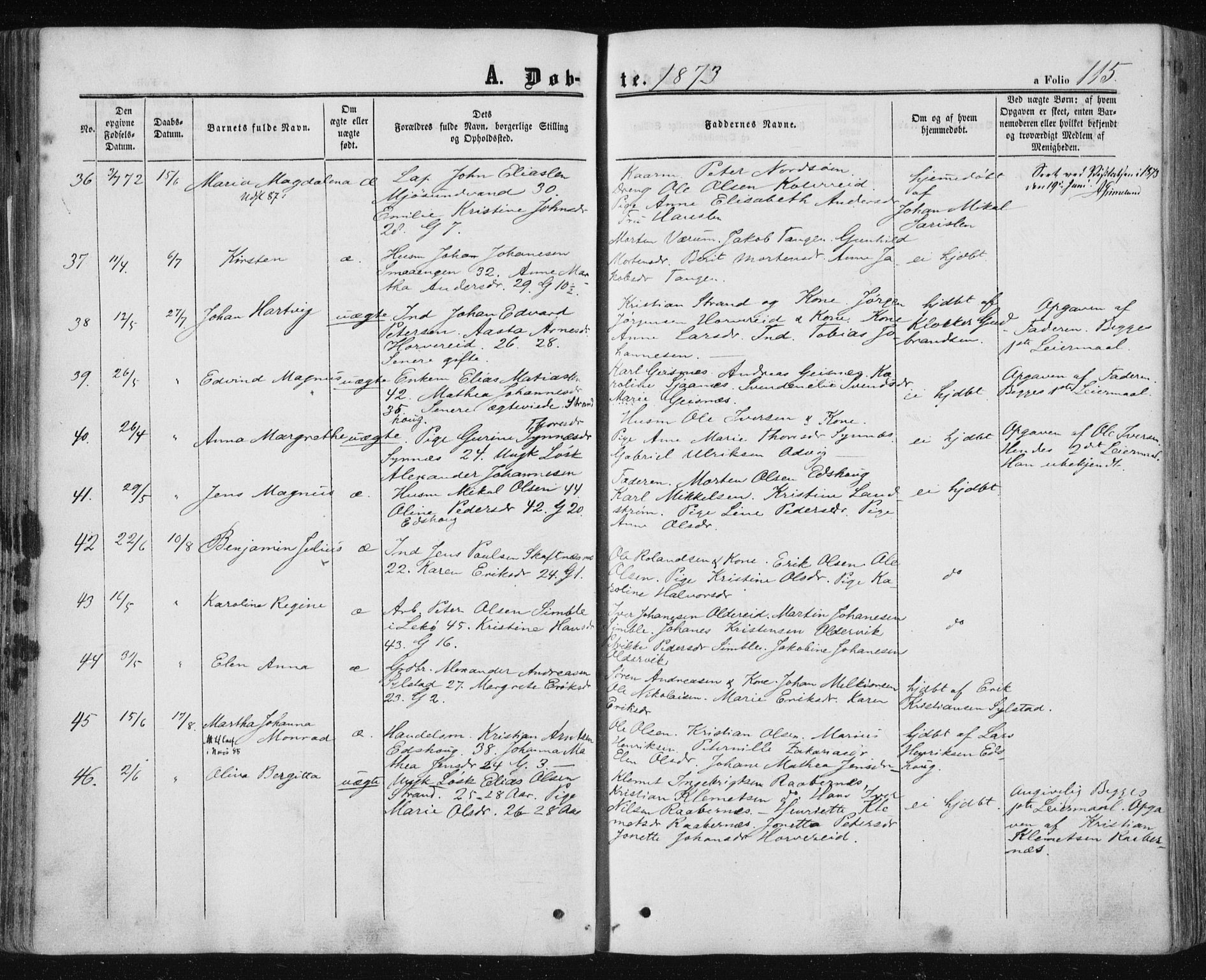 Ministerialprotokoller, klokkerbøker og fødselsregistre - Nord-Trøndelag, AV/SAT-A-1458/780/L0641: Parish register (official) no. 780A06, 1857-1874, p. 115