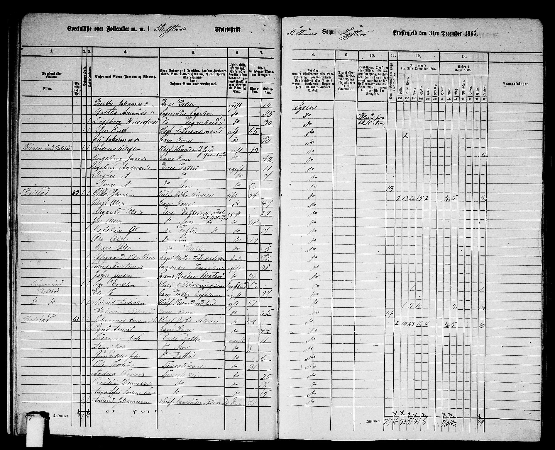 RA, 1865 census for Luster, 1865, p. 12