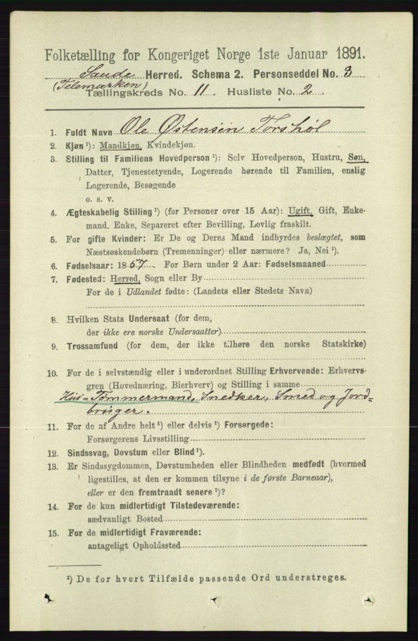 RA, 1891 census for 0822 Sauherad, 1891, p. 3384