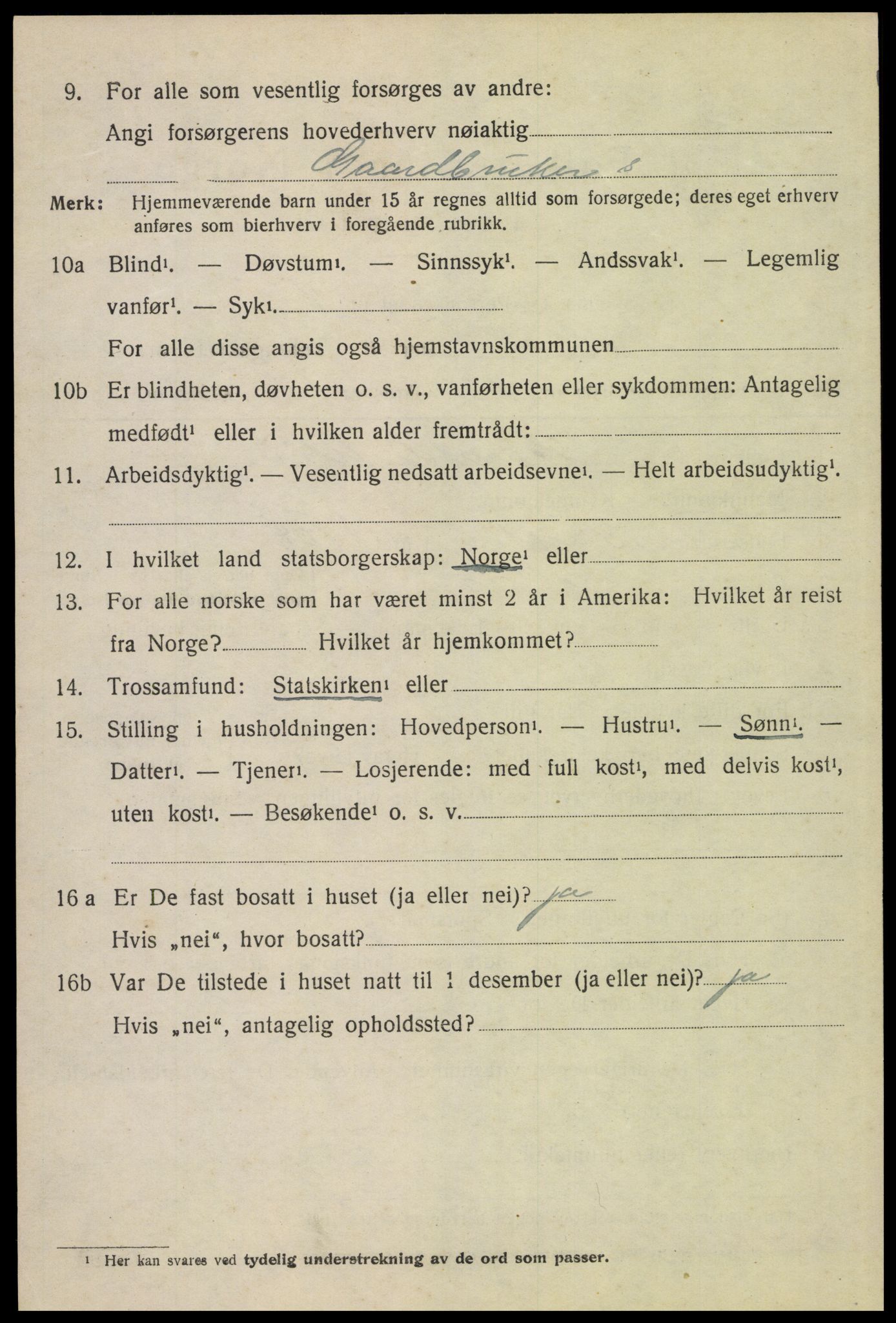 SAH, 1920 census for Sollia, 1920, p. 894