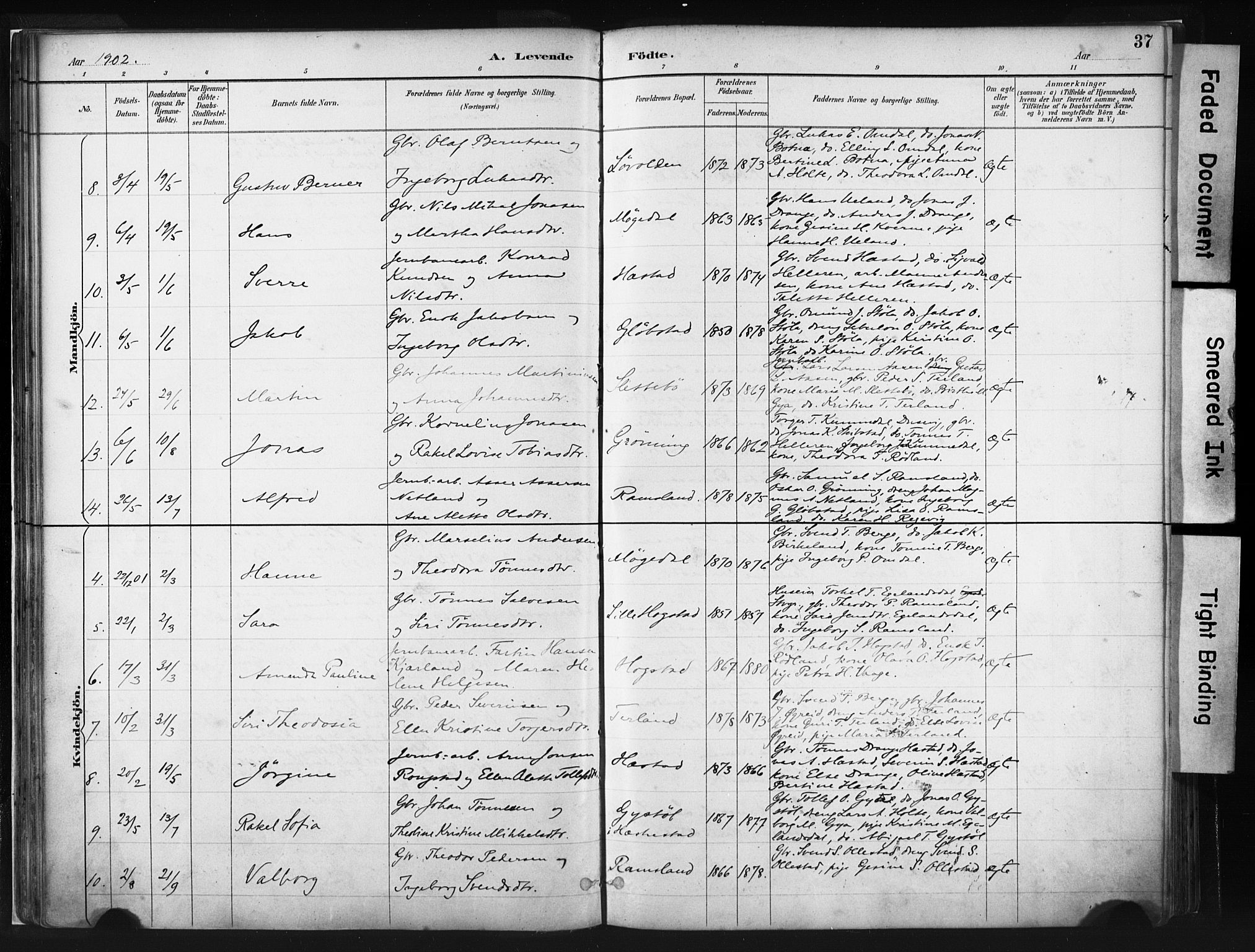 Helleland sokneprestkontor, AV/SAST-A-101810: Parish register (official) no. A 8, 1887-1907, p. 37