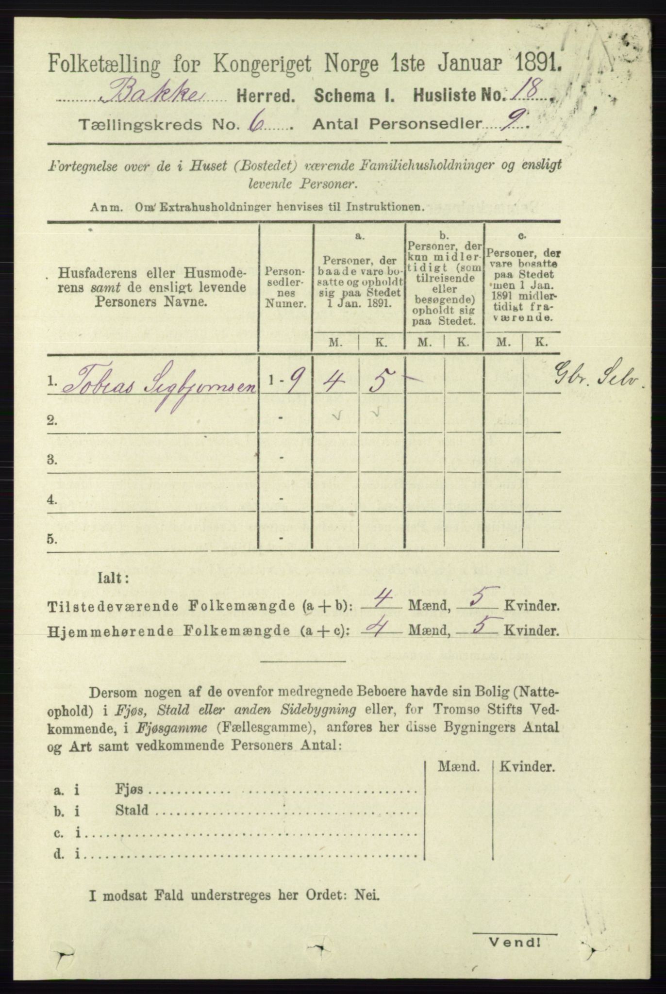 RA, 1891 census for 1045 Bakke, 1891, p. 1166