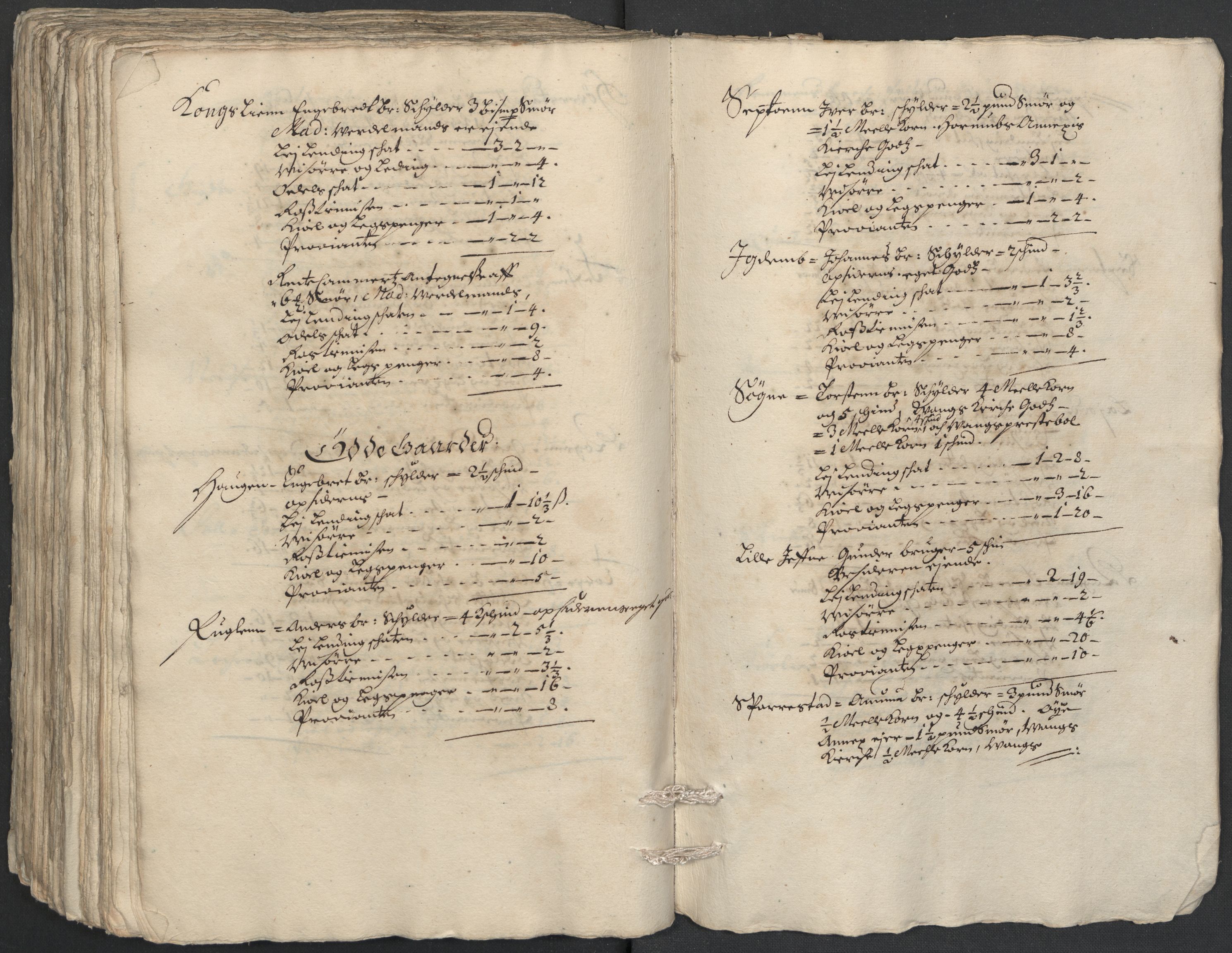 Rentekammeret inntil 1814, Reviderte regnskaper, Fogderegnskap, AV/RA-EA-4092/R18/L1297: Fogderegnskap Hadeland, Toten og Valdres, 1699, p. 258