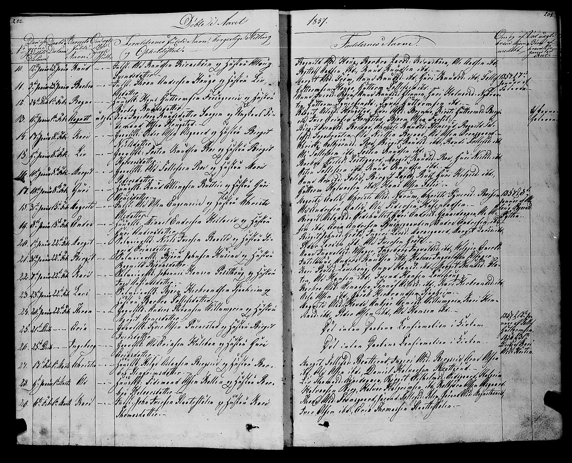 Gol kirkebøker, SAKO/A-226/F/Fa/L0002: Parish register (official) no. I 2, 1837-1863, p. 202-203