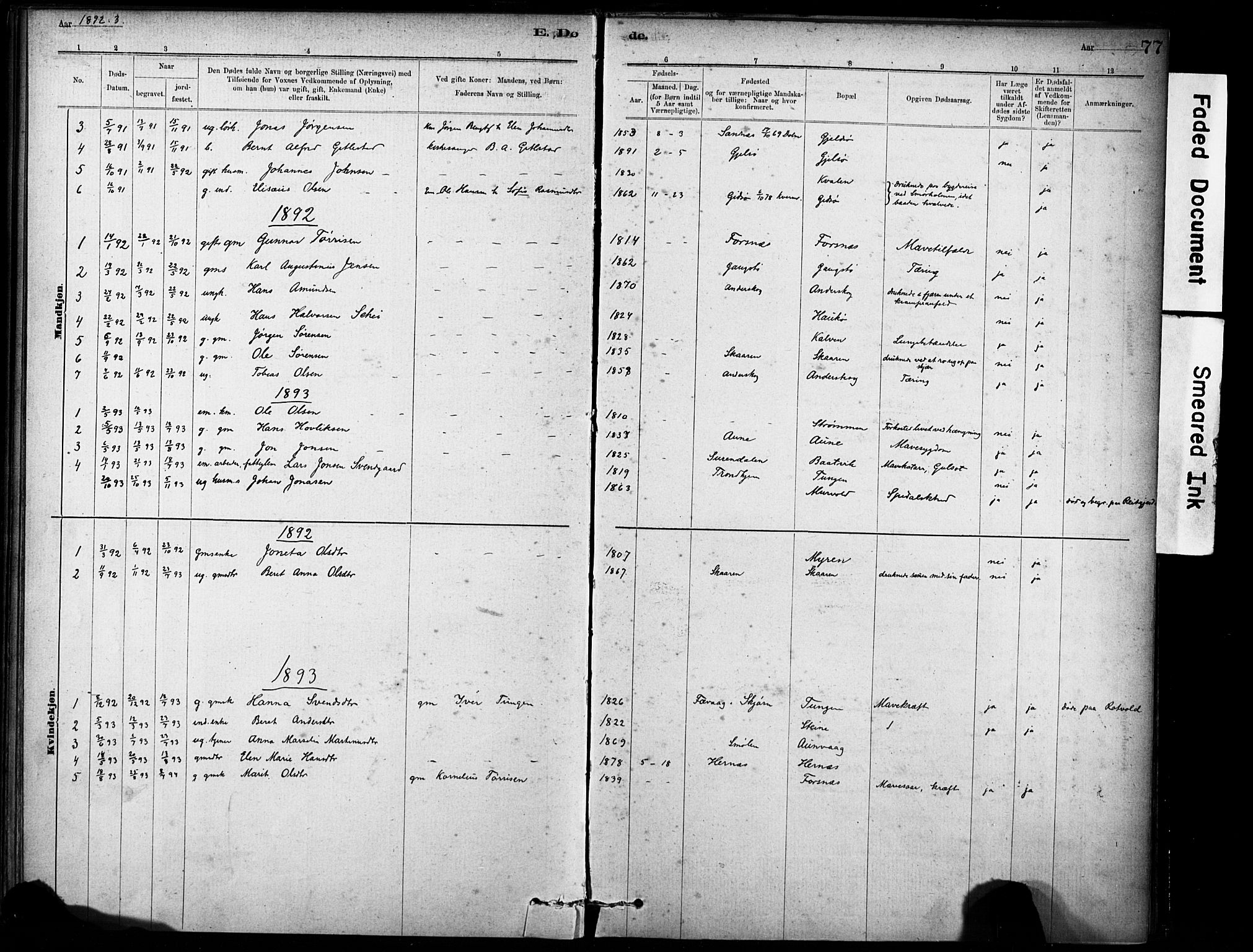 Ministerialprotokoller, klokkerbøker og fødselsregistre - Sør-Trøndelag, SAT/A-1456/635/L0551: Parish register (official) no. 635A01, 1882-1899, p. 77