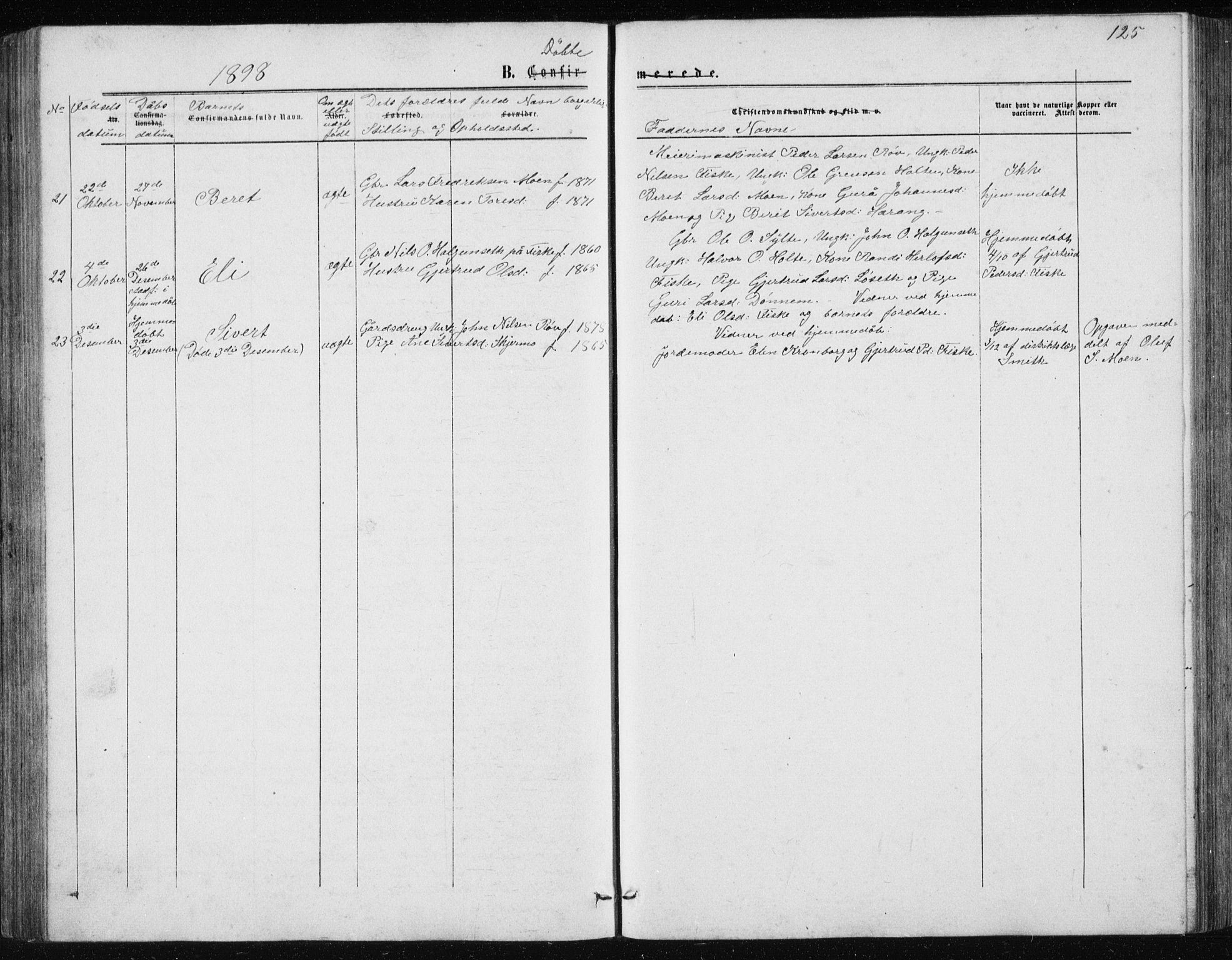 Ministerialprotokoller, klokkerbøker og fødselsregistre - Møre og Romsdal, AV/SAT-A-1454/597/L1064: Parish register (copy) no. 597C01, 1866-1898, p. 125