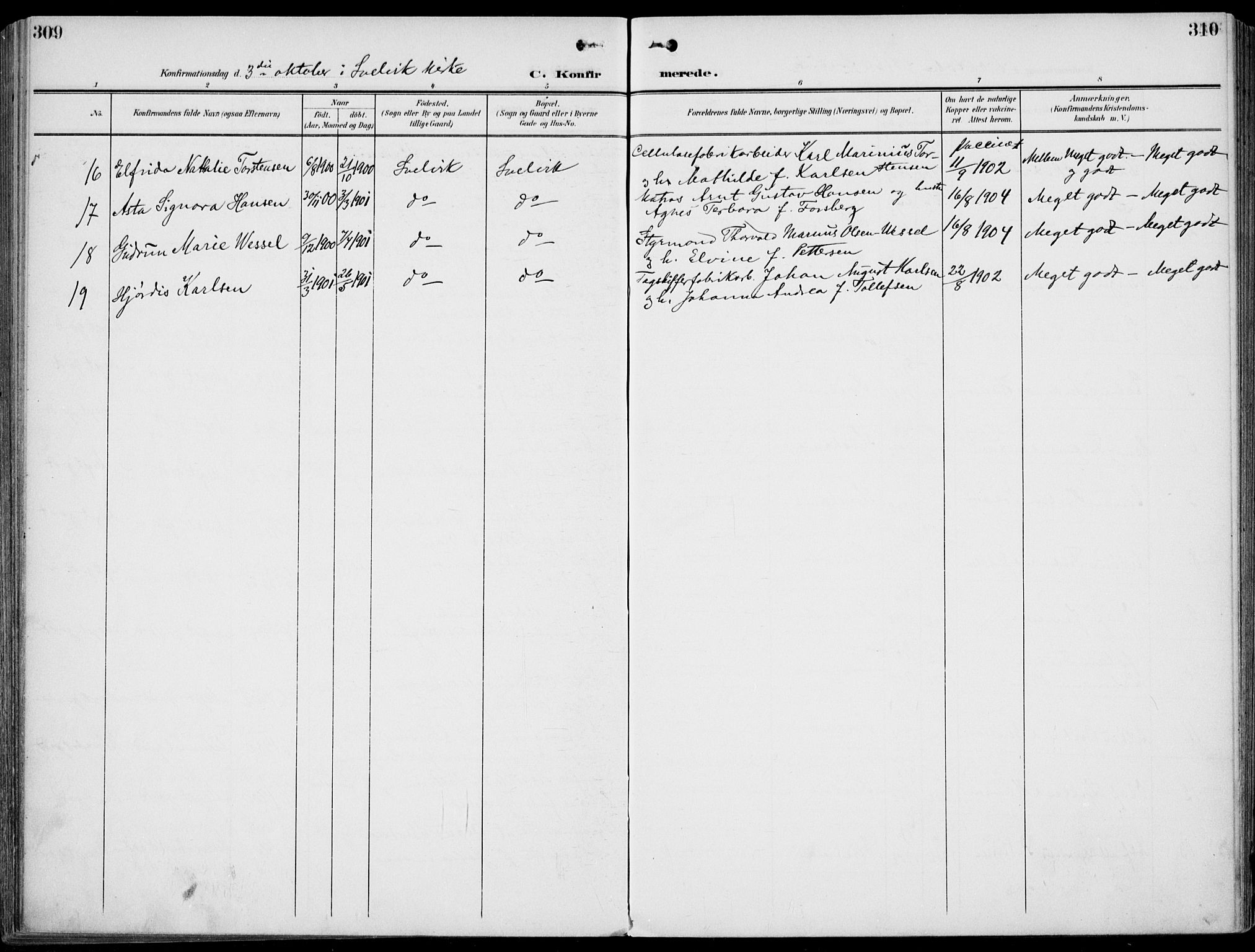 Strømm kirkebøker, AV/SAKO-A-322/F/Fb/L0002: Parish register (official) no. II 2, 1900-1919, p. 309-310