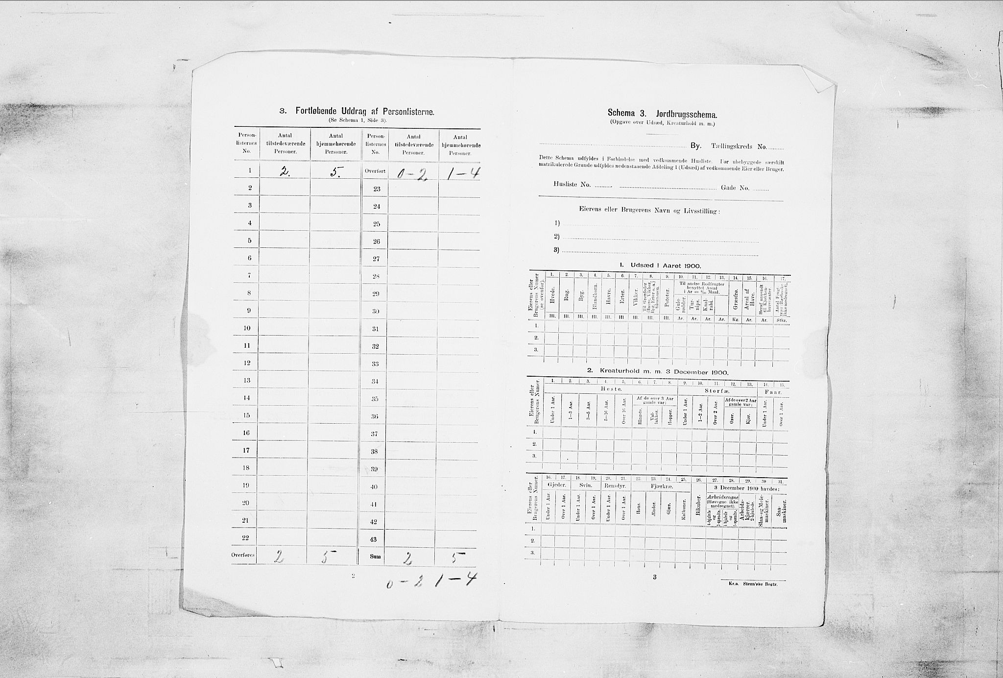 SAKO, 1900 census for Skien, 1900, p. 1433