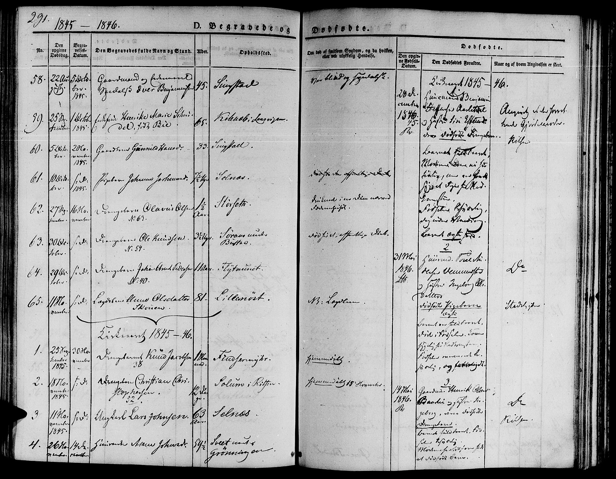 Ministerialprotokoller, klokkerbøker og fødselsregistre - Sør-Trøndelag, SAT/A-1456/646/L0610: Parish register (official) no. 646A08, 1837-1847, p. 291