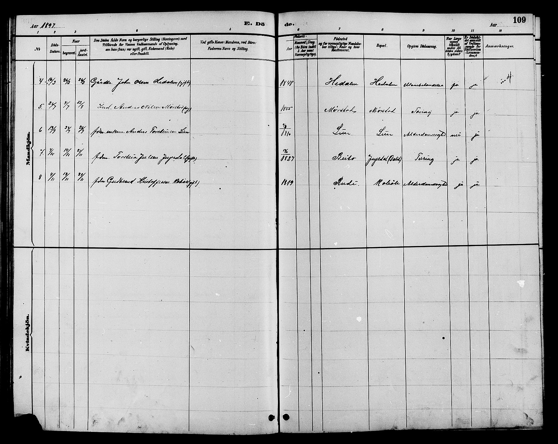 Øystre Slidre prestekontor, AV/SAH-PREST-138/H/Ha/Hab/L0004: Parish register (copy) no. 4, 1887-1907, p. 109