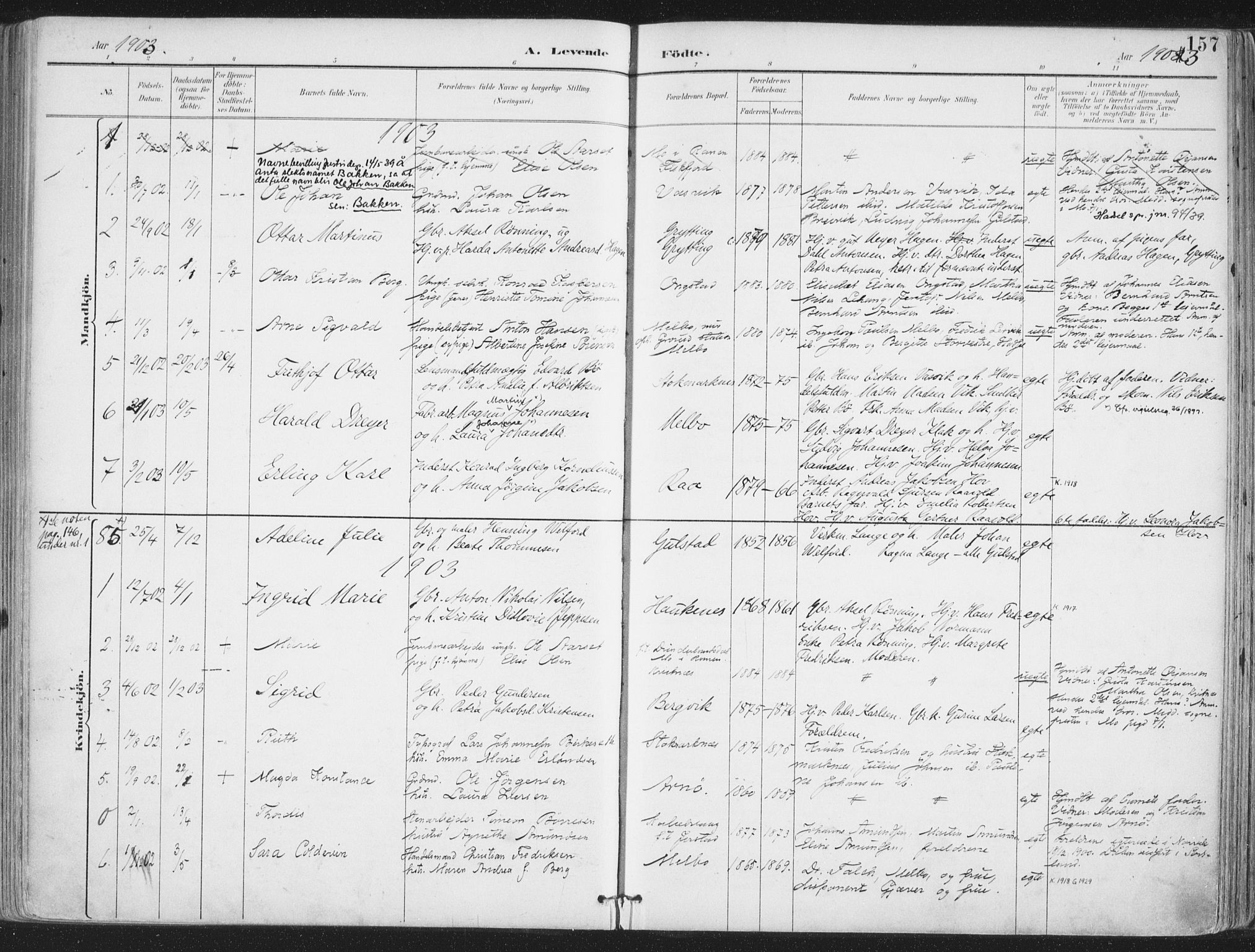 Ministerialprotokoller, klokkerbøker og fødselsregistre - Nordland, SAT/A-1459/888/L1246: Parish register (official) no. 888A12, 1891-1903, p. 157
