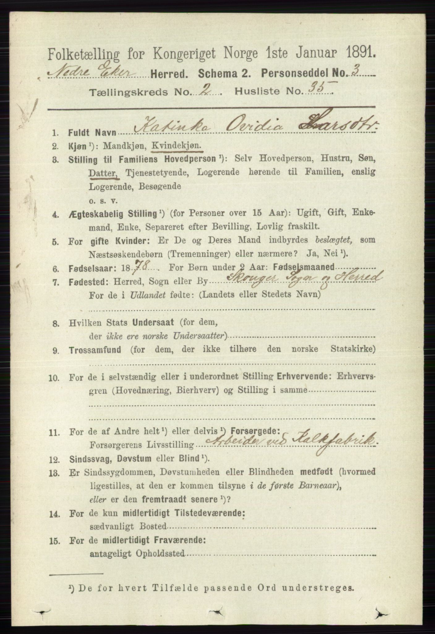 RA, 1891 census for 0625 Nedre Eiker, 1891, p. 734