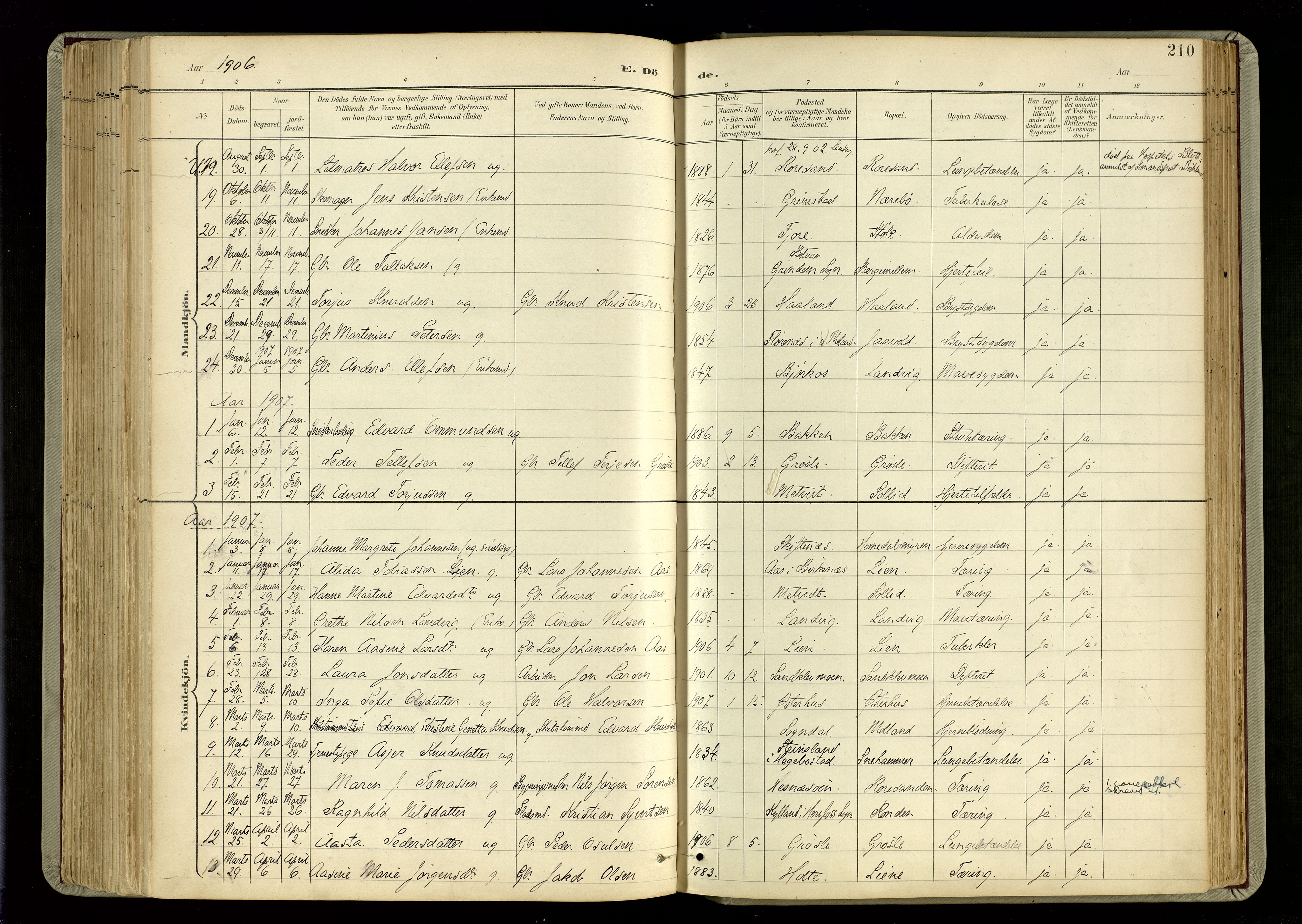 Hommedal sokneprestkontor, SAK/1111-0023/F/Fa/Fab/L0007: Parish register (official) no. A 7, 1898-1924, p. 210