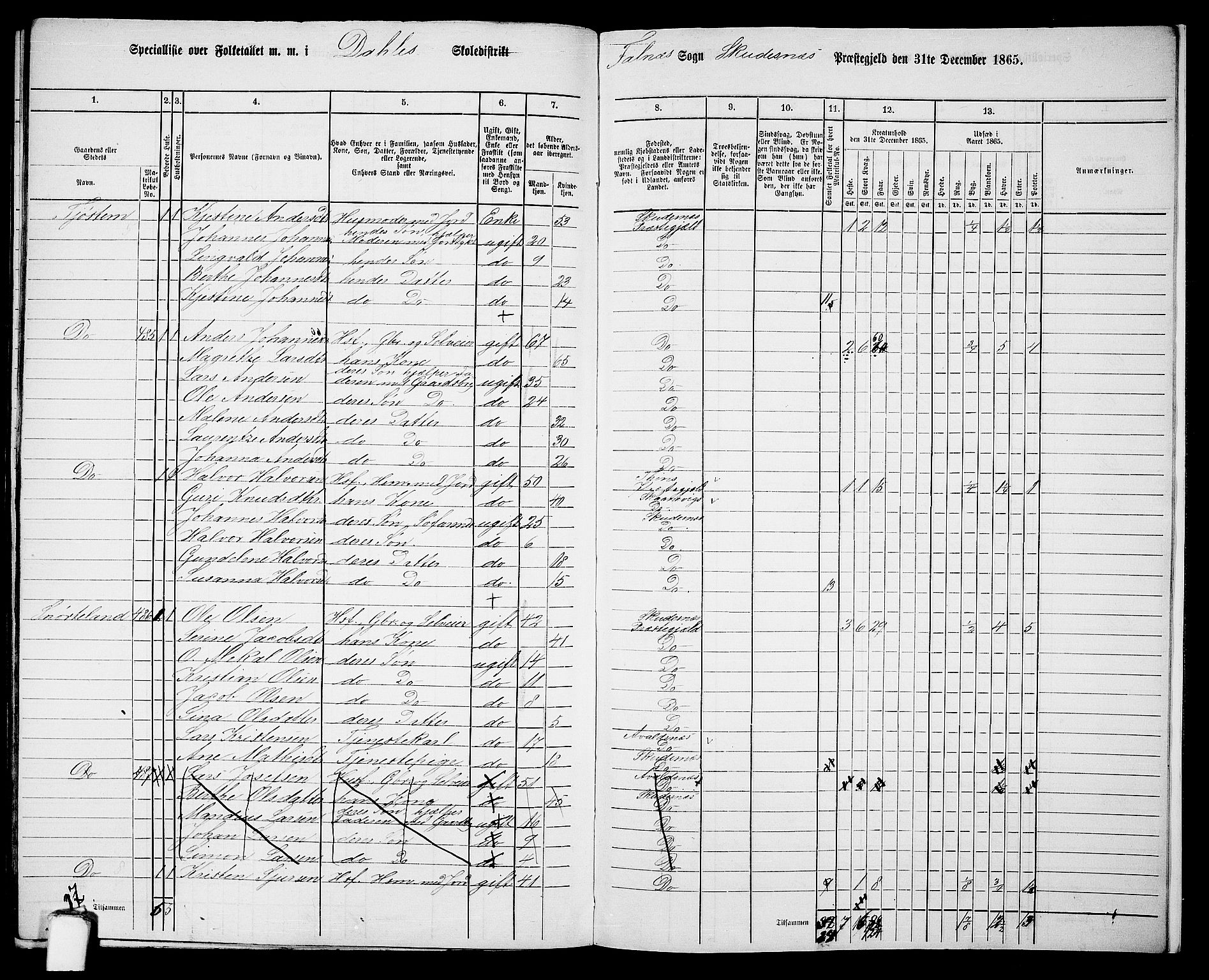 RA, 1865 census for Skudenes, 1865, p. 197