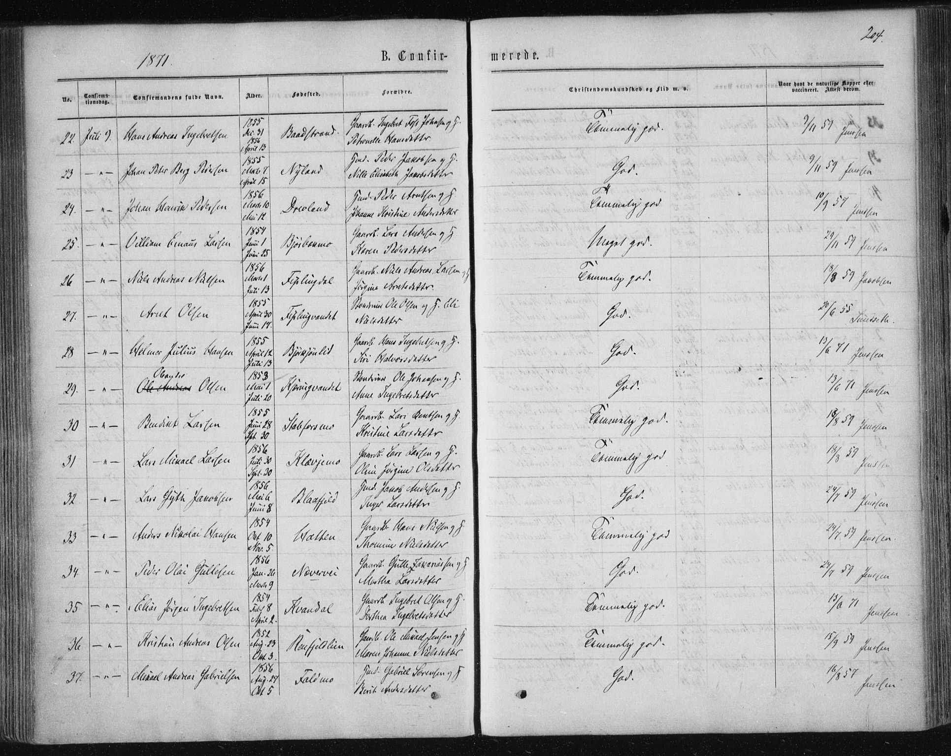 Ministerialprotokoller, klokkerbøker og fødselsregistre - Nordland, SAT/A-1459/820/L0294: Parish register (official) no. 820A15, 1866-1879, p. 204