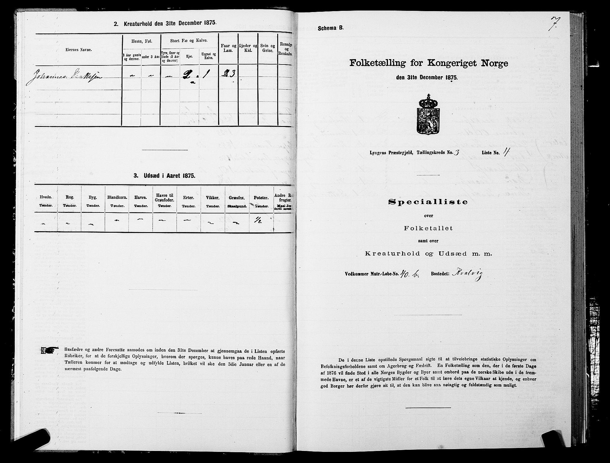 SATØ, 1875 census for 1938P Lyngen, 1875, p. 3007