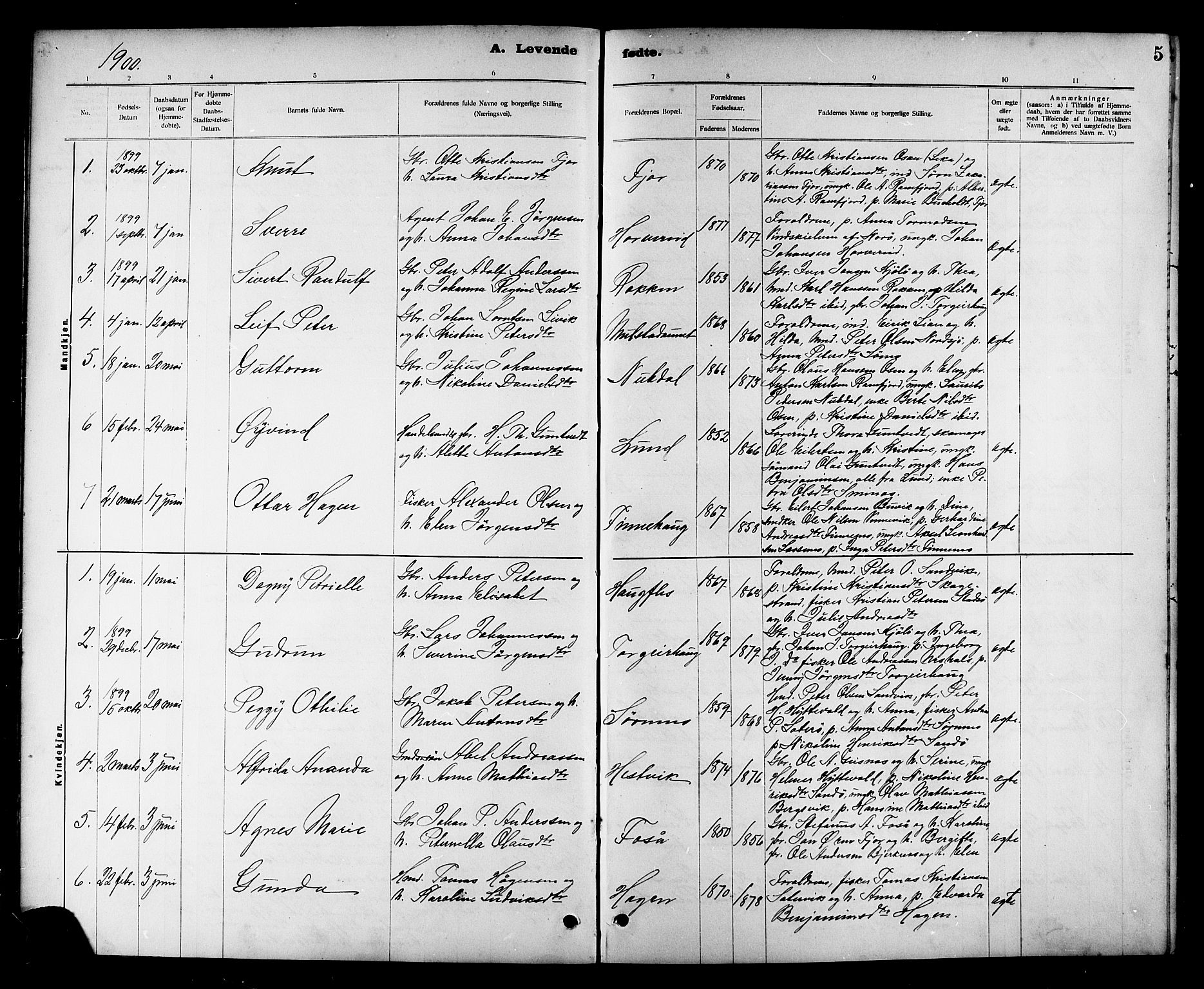 Ministerialprotokoller, klokkerbøker og fødselsregistre - Nord-Trøndelag, SAT/A-1458/780/L0652: Parish register (copy) no. 780C04, 1899-1911, p. 5