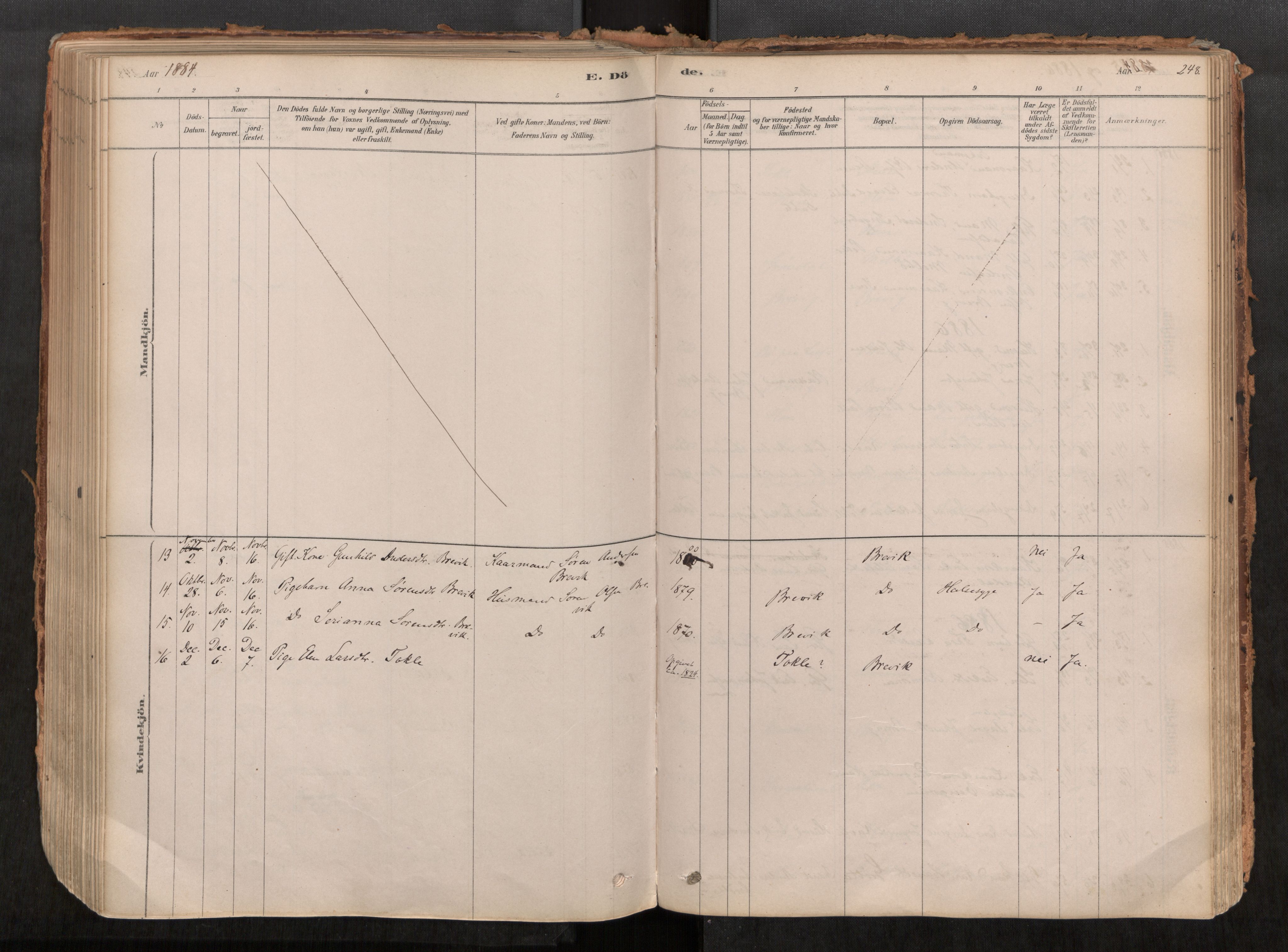 Ministerialprotokoller, klokkerbøker og fødselsregistre - Møre og Romsdal, AV/SAT-A-1454/545/L0594: Parish register (official) no. 545A03, 1878-1920, p. 248