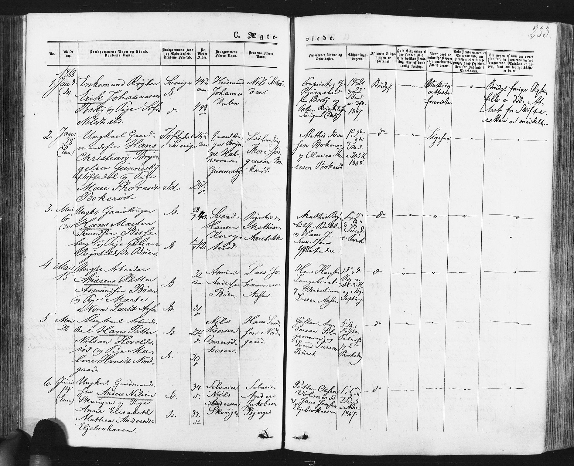 Idd prestekontor Kirkebøker, SAO/A-10911/F/Fc/L0005: Parish register (official) no. III 5, 1861-1877, p. 253