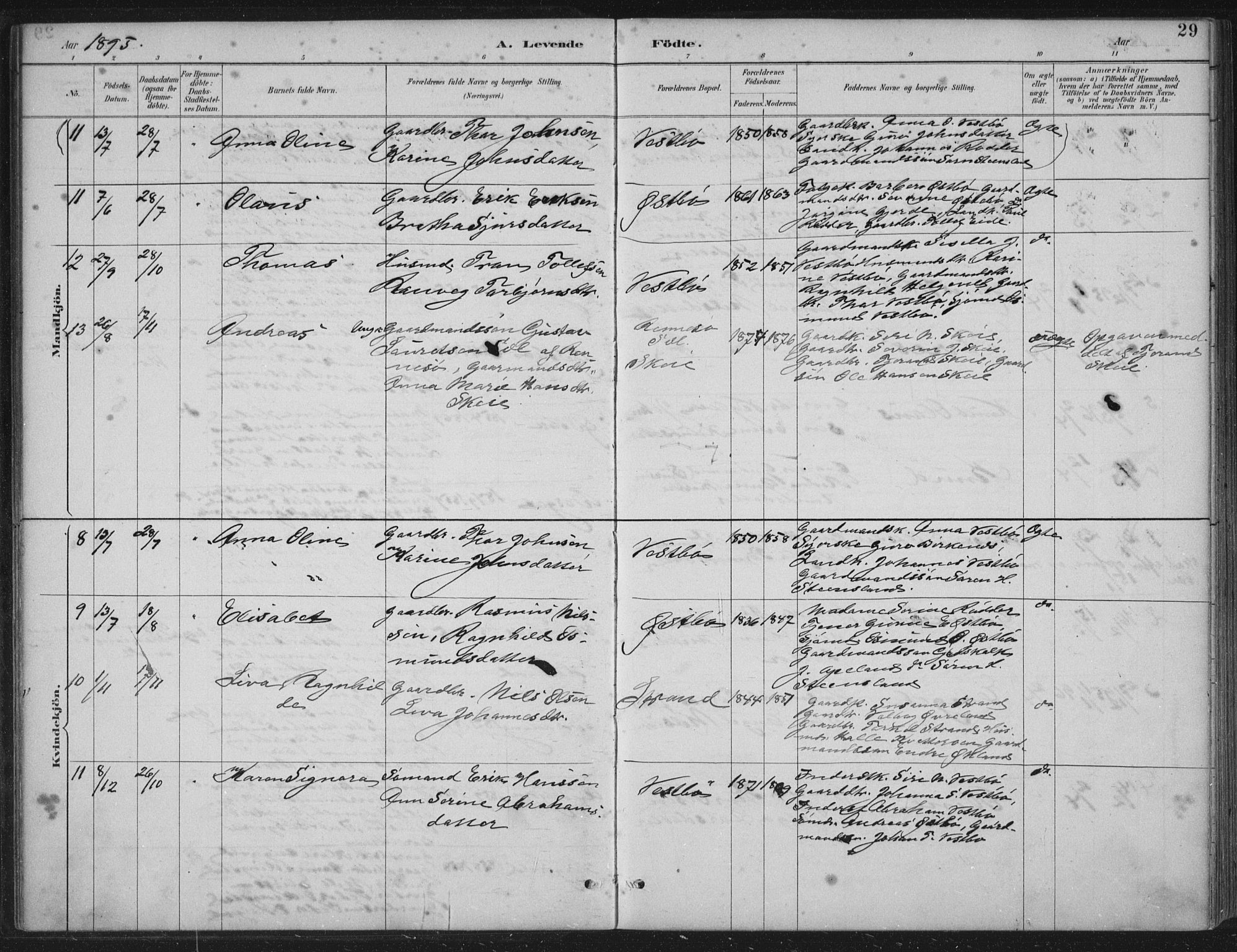 Vikedal sokneprestkontor, AV/SAST-A-101840/01/IV: Parish register (official) no. A 11, 1884-1933, p. 29