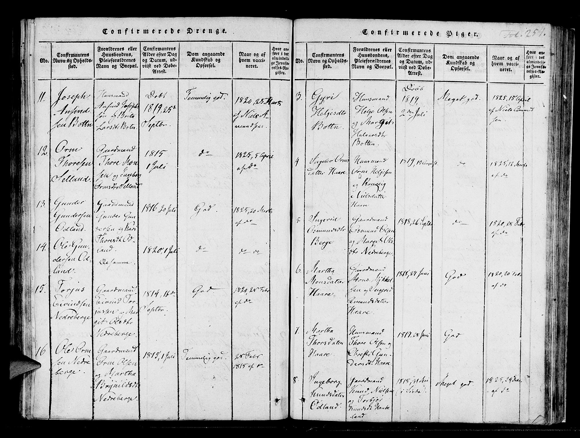 Røldal sokneprestembete, AV/SAB-A-100247: Parish register (official) no. A 2, 1817-1856, p. 254