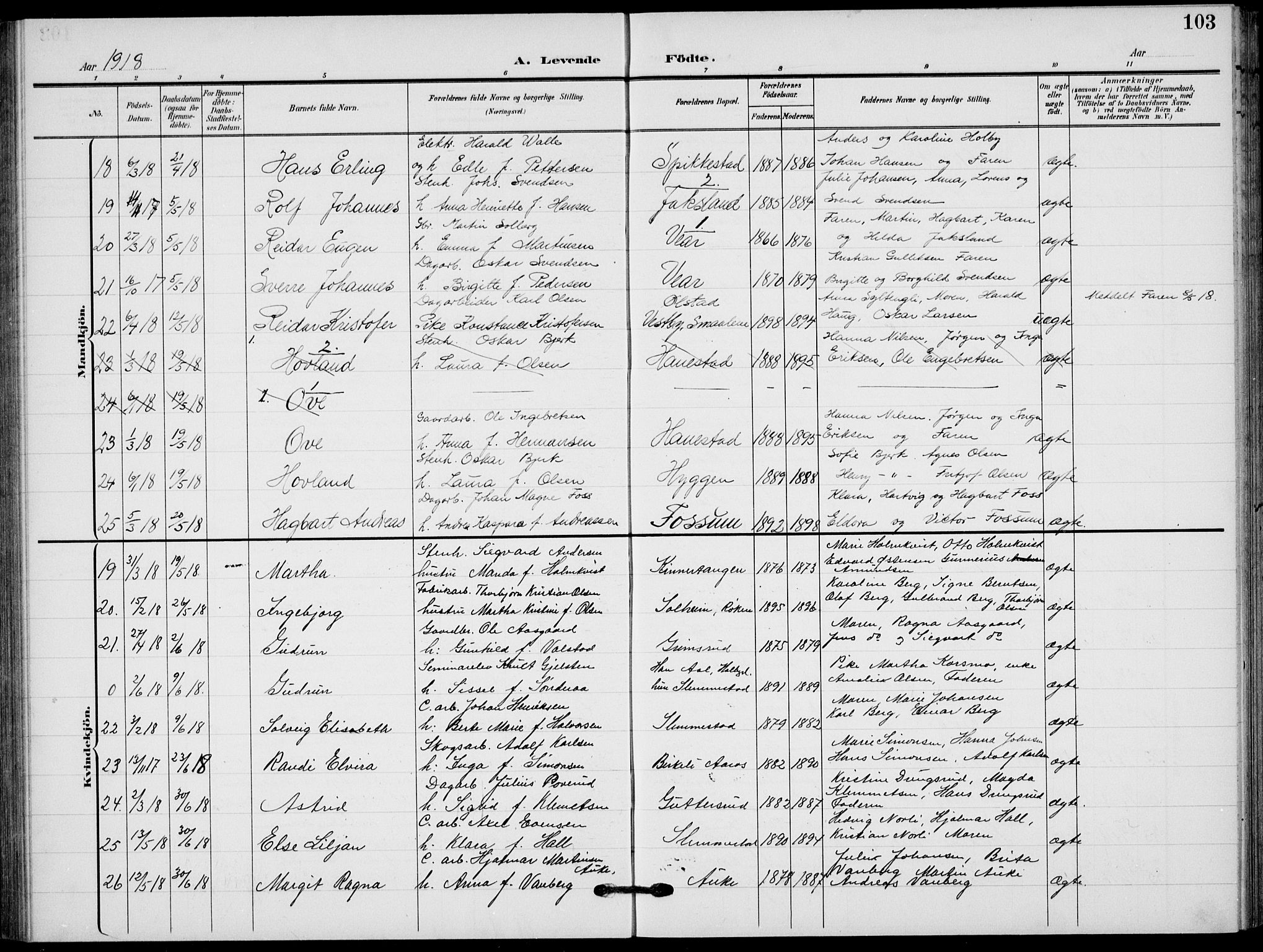 Røyken kirkebøker, AV/SAKO-A-241/G/Ga/L0005: Parish register (copy) no. 5, 1903-1918, p. 103