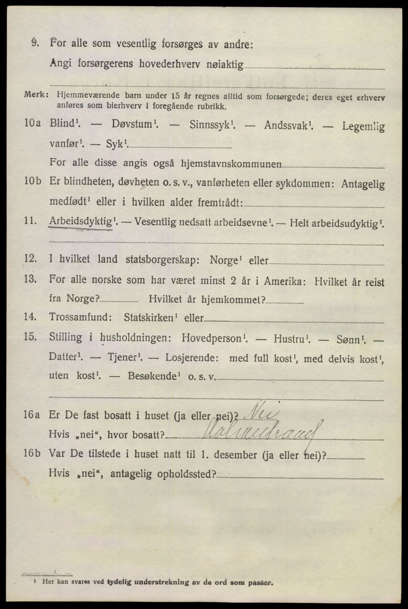 SAKO, 1920 census for Våle, 1920, p. 1895