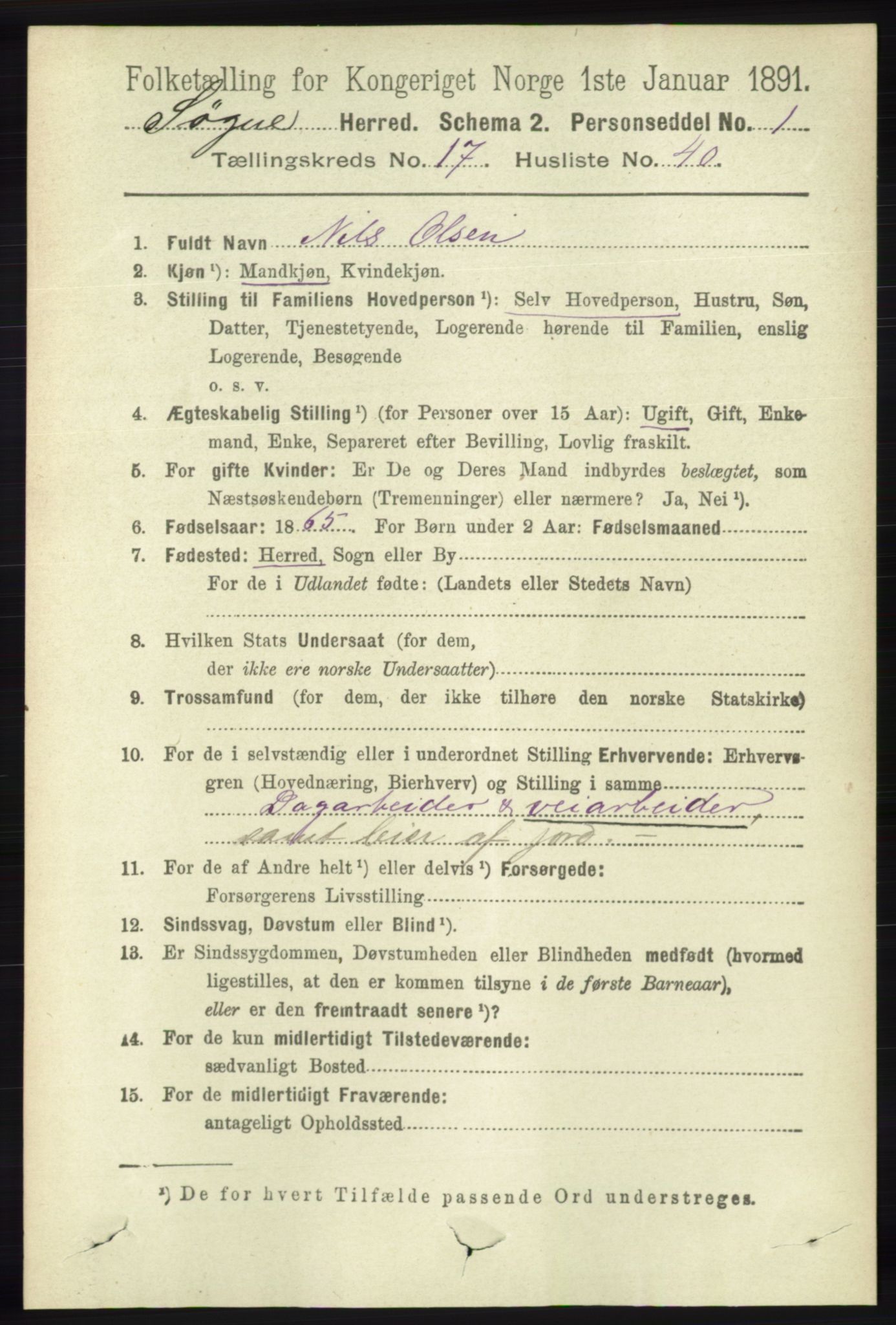 RA, 1891 census for 1018 Søgne, 1891, p. 4694