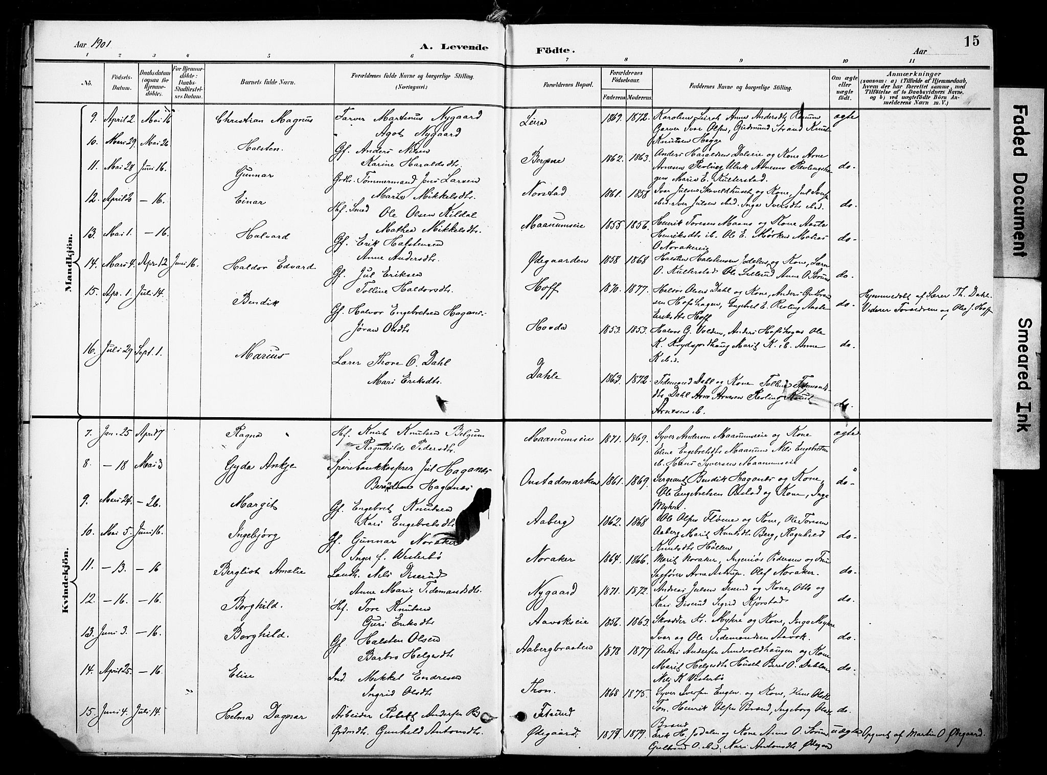Nord-Aurdal prestekontor, SAH/PREST-132/H/Ha/Haa/L0014: Parish register (official) no. 14, 1896-1912, p. 15