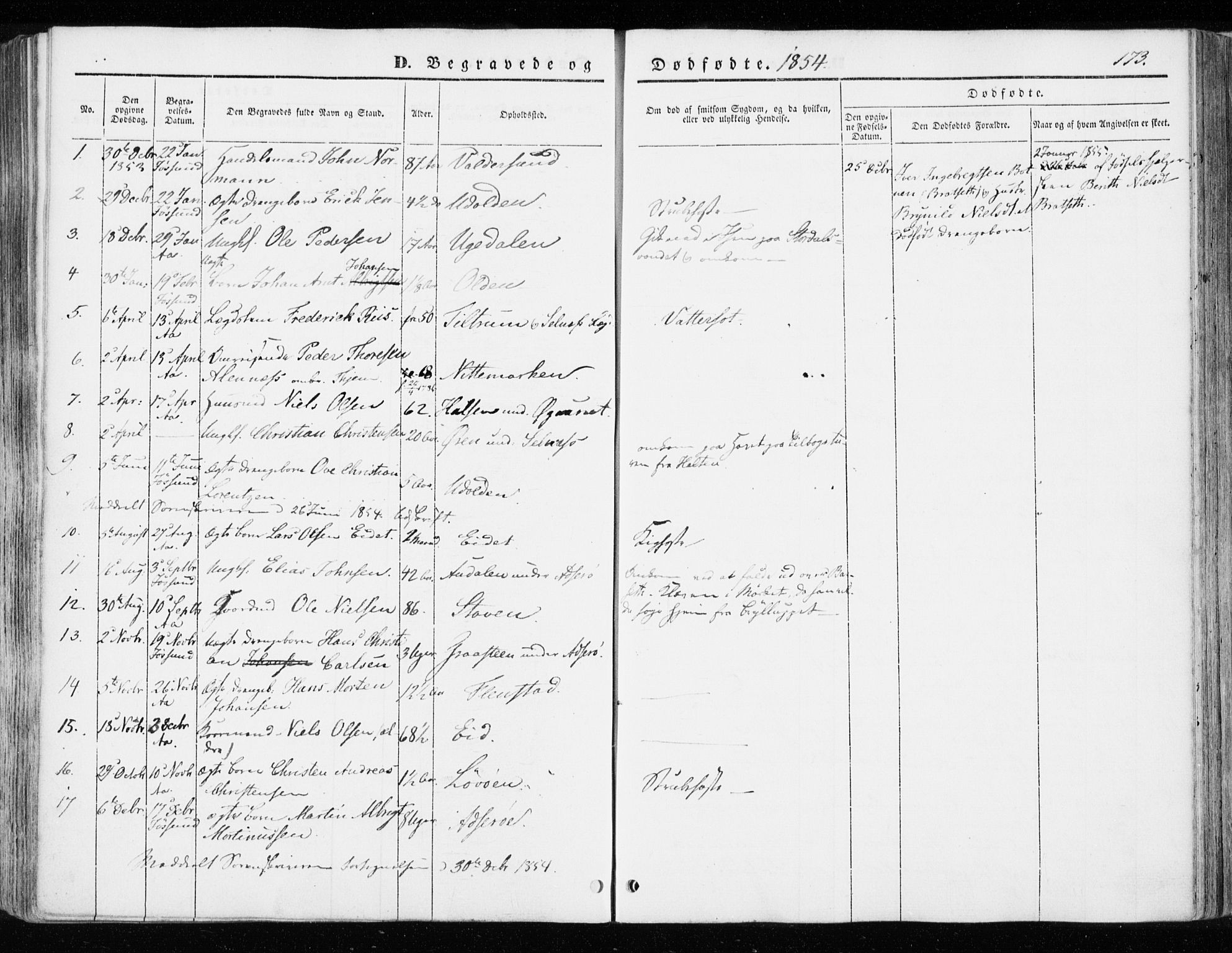 Ministerialprotokoller, klokkerbøker og fødselsregistre - Sør-Trøndelag, SAT/A-1456/655/L0677: Parish register (official) no. 655A06, 1847-1860, p. 173