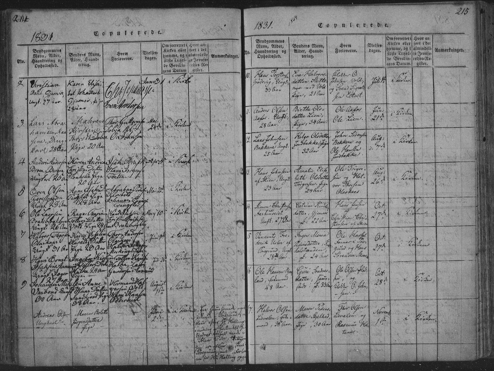 Solum kirkebøker, SAKO/A-306/F/Fa/L0004: Parish register (official) no. I 4, 1814-1833, p. 215